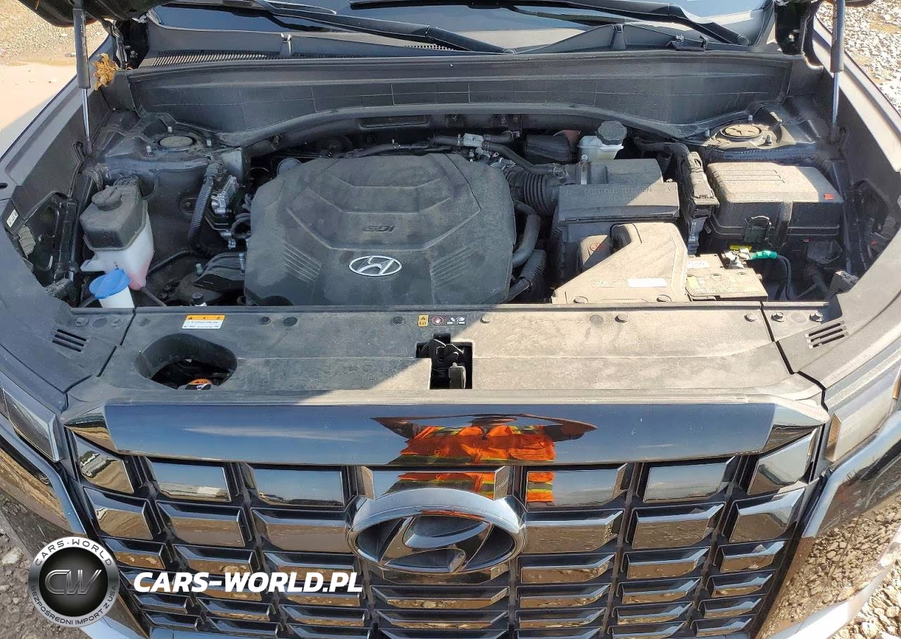 2023 Hyundai Palisade Sel VIN:KM8R2DGE2PU610409 - 12