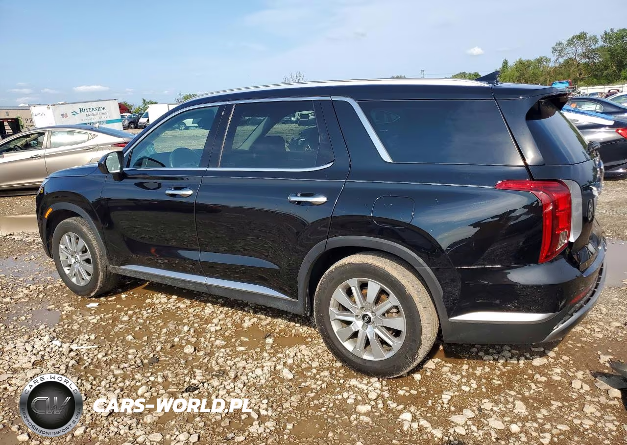 2023 Hyundai Palisade Sel VIN:KM8R2DGE2PU610409 - 2