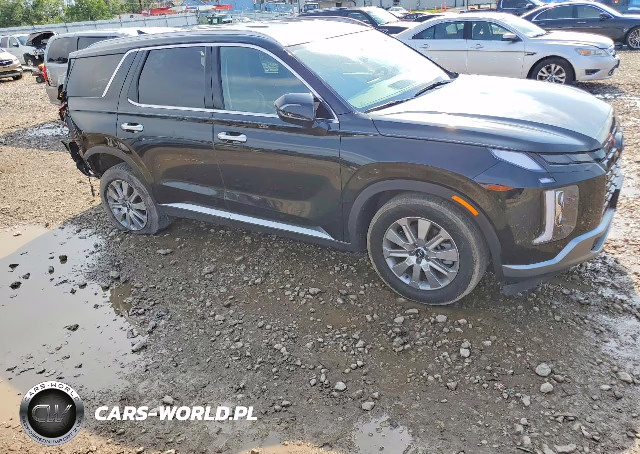 2023 Hyundai Palisade Sel VIN:KM8R2DGE2PU610409 - 4