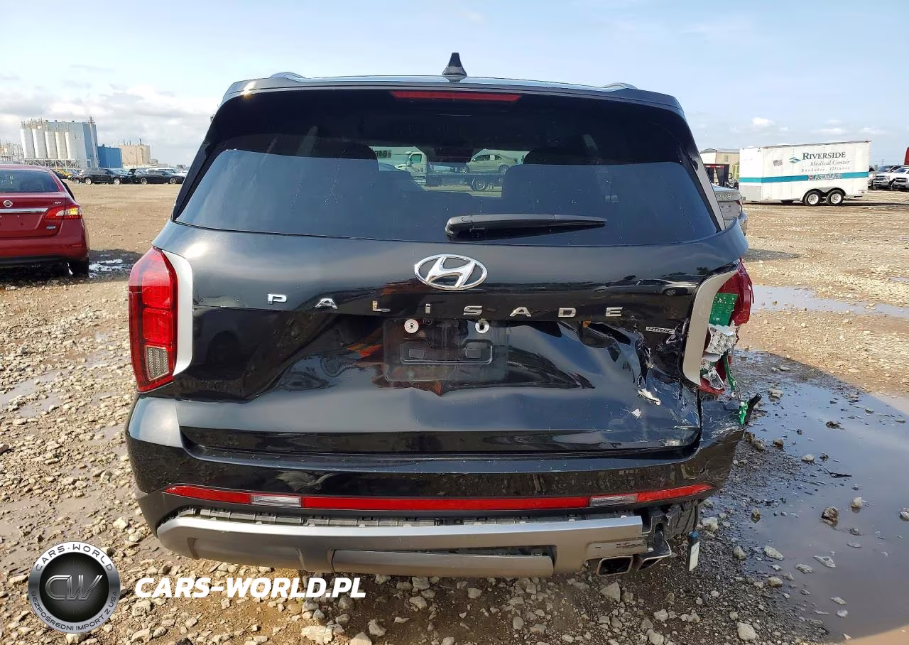 2023 Hyundai Palisade Sel VIN:KM8R2DGE2PU610409 - 6