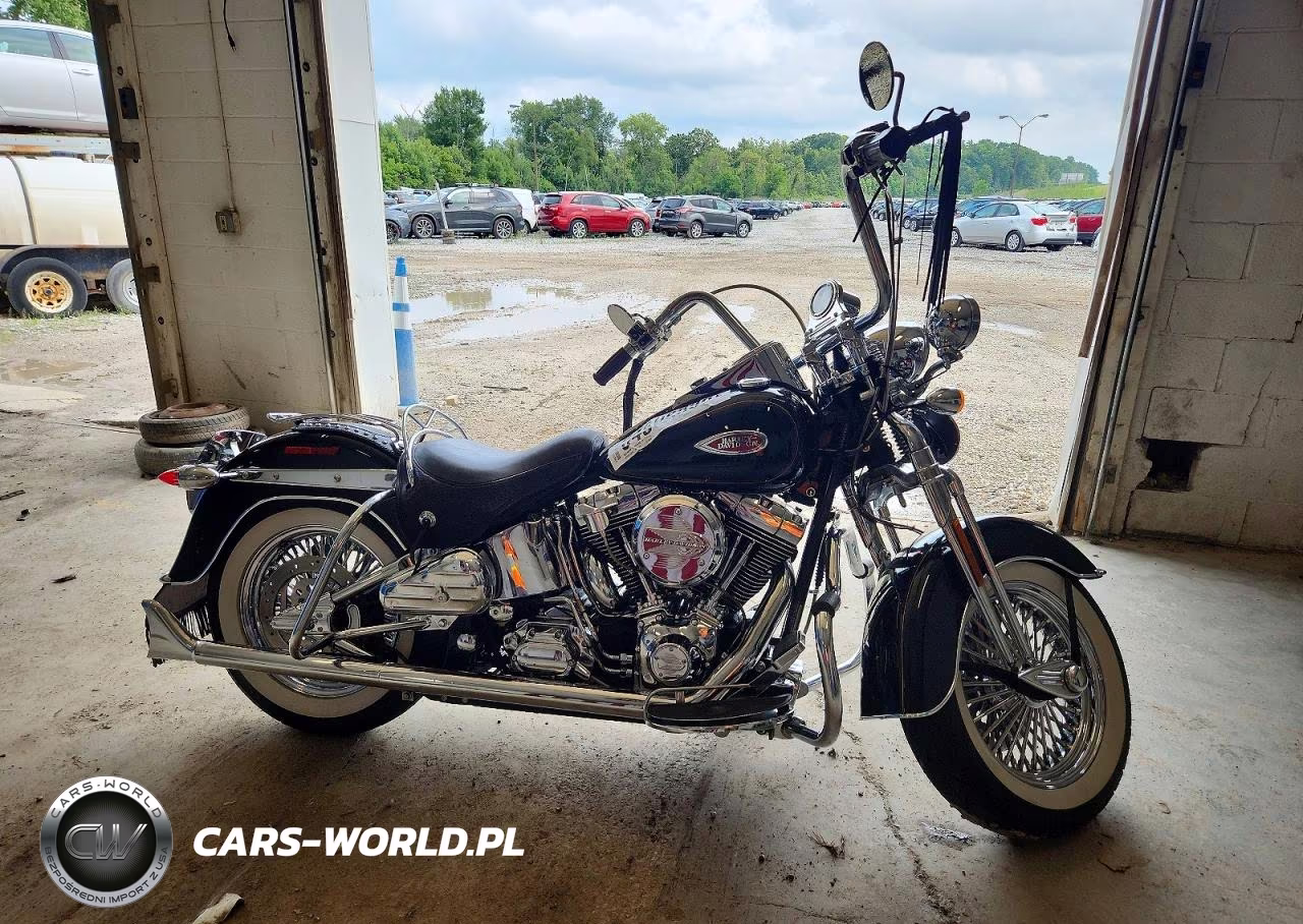 2002 Harley-Davidson Flsts – zdjęcie 1 z 8
