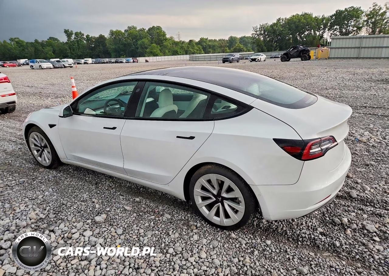 2021 Tesla Model 3 VIN:5YJ3E1EA1MF874581 - 2