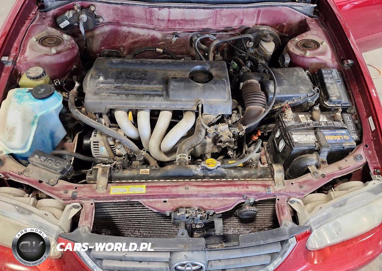 2001 Toyota Corolla Le VIN:1NXBR12E91Z539140 - 11