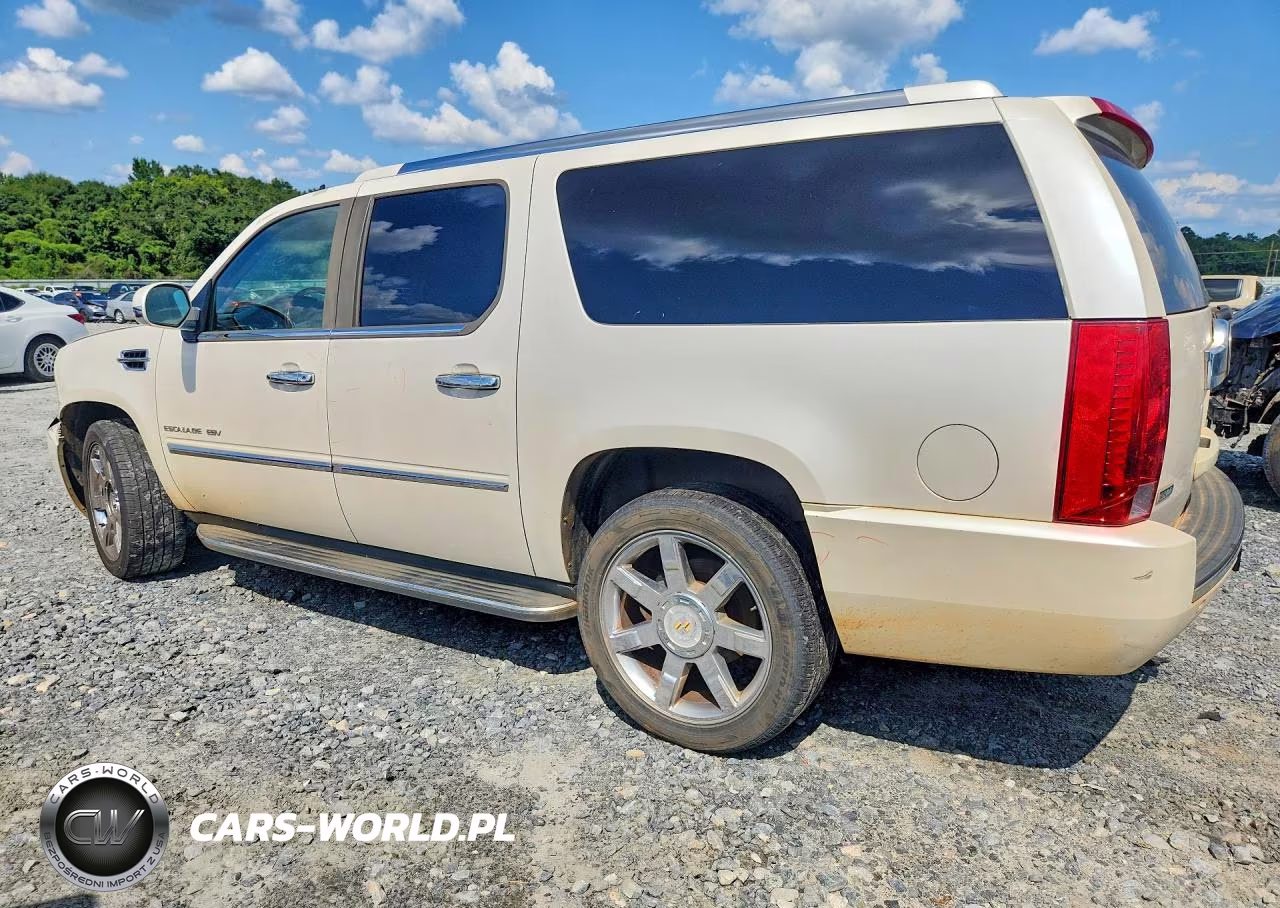 2010 Cadillac Escalade Esv Luxury VIN:1GYUCHEF0AR200842 - 2