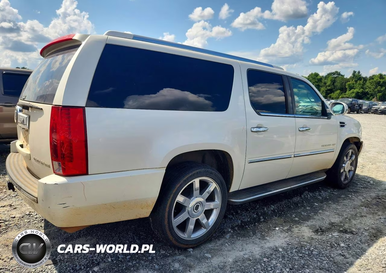 2010 Cadillac Escalade Esv Luxury VIN:1GYUCHEF0AR200842 - 3
