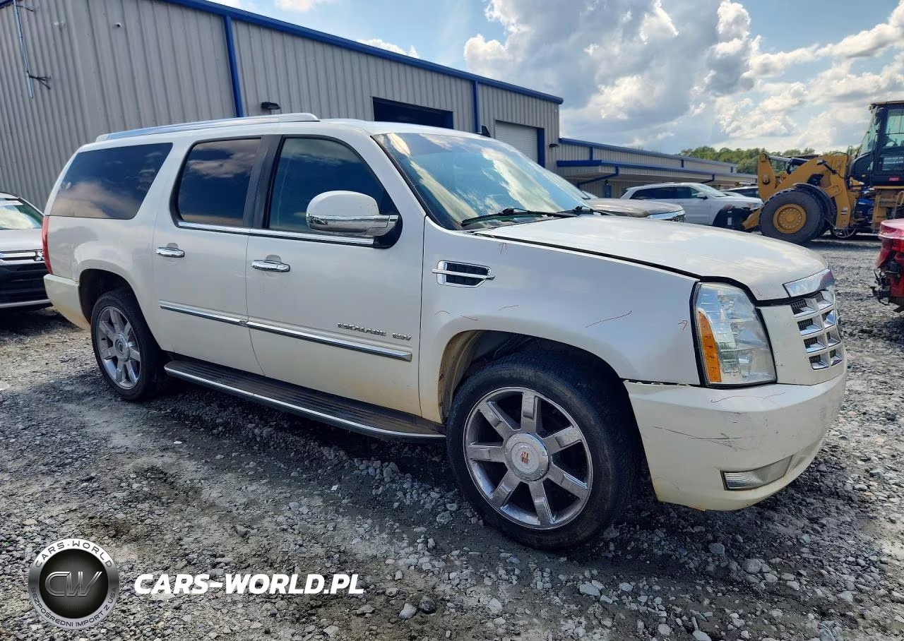 2010 Cadillac Escalade Esv Luxury VIN:1GYUCHEF0AR200842 - 4
