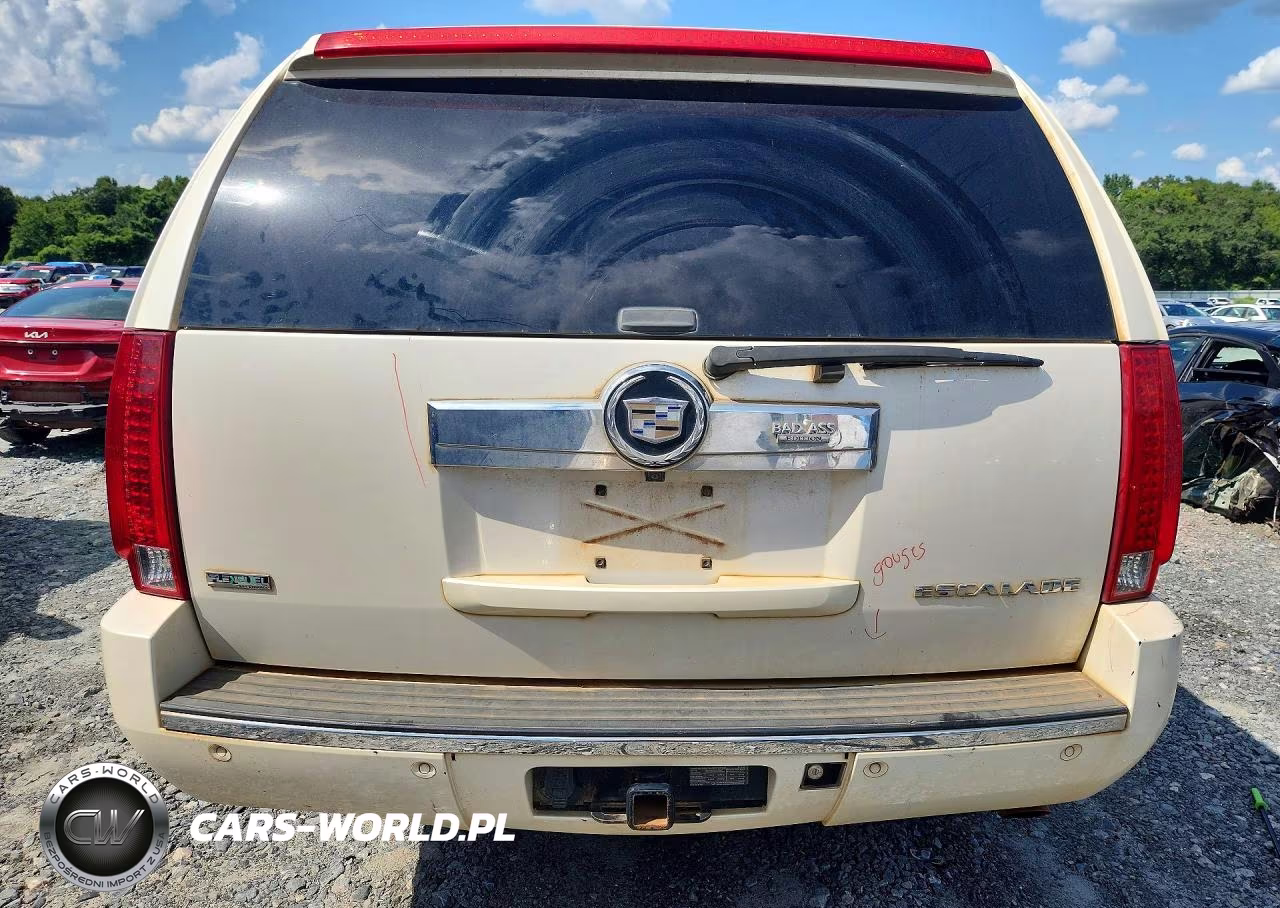 2010 Cadillac Escalade Esv Luxury VIN:1GYUCHEF0AR200842 - 6