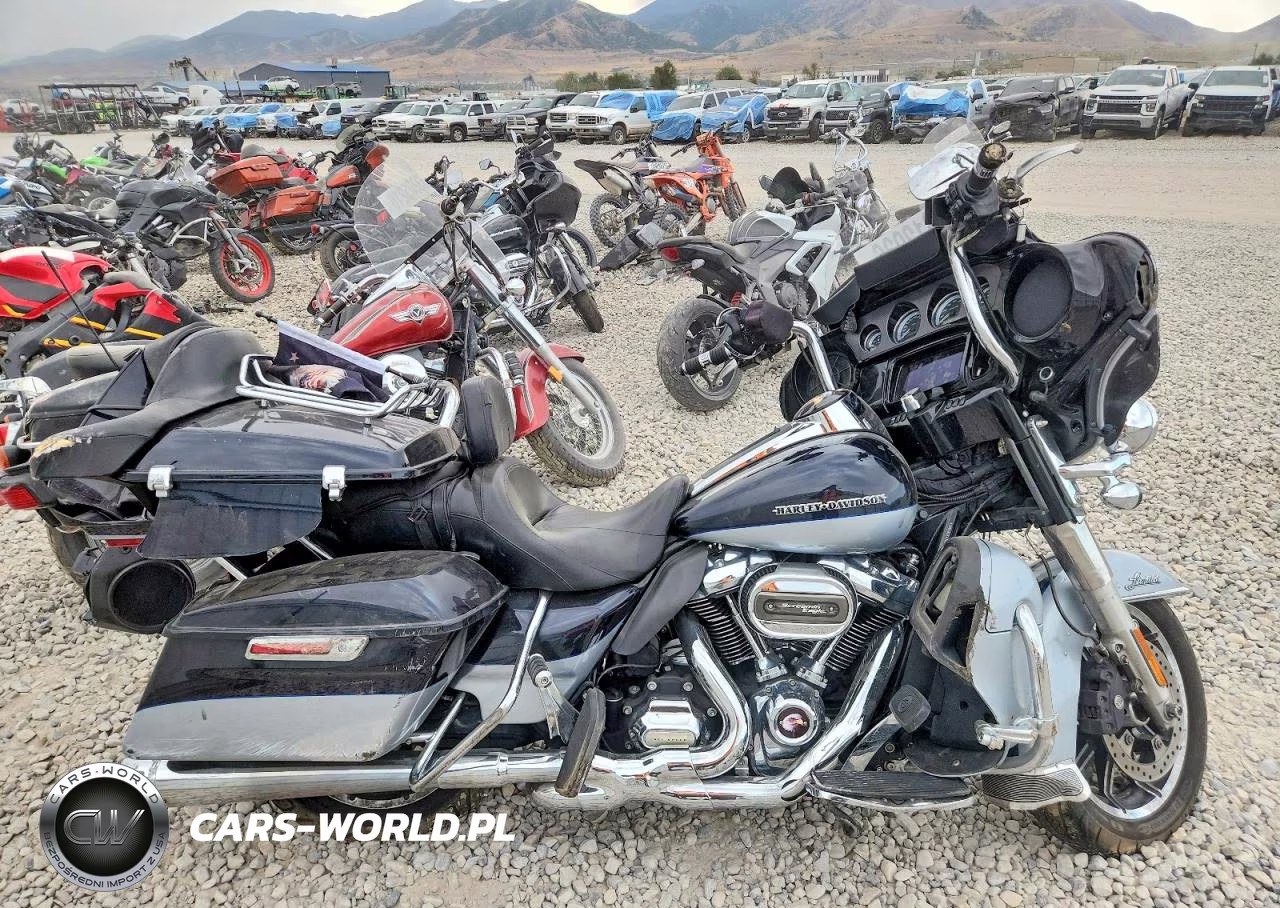 2019 Harley-Davidson Flhtk