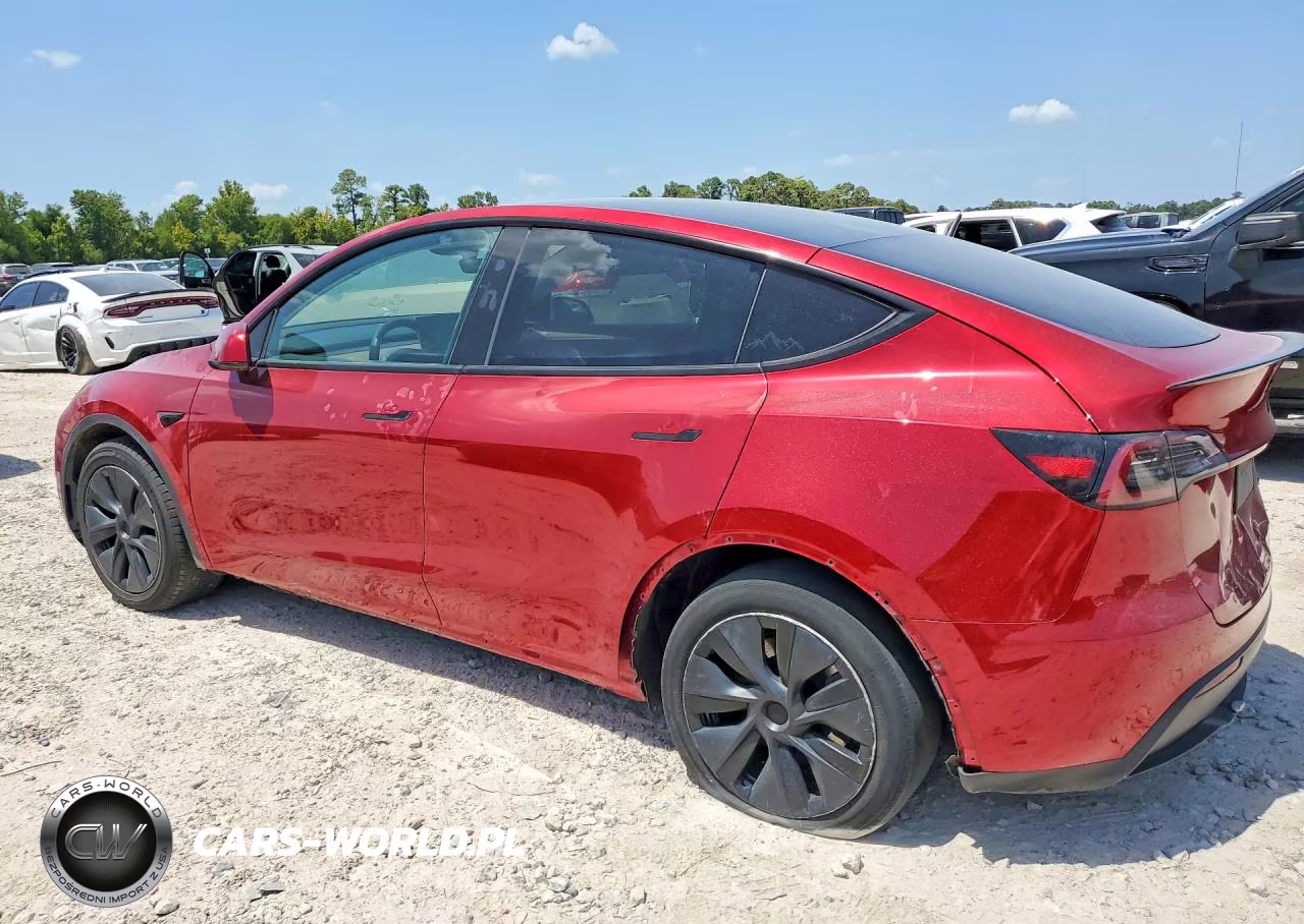 2025 Tesla Model Y VIN:7SAYGAEE9SF247453 - 2