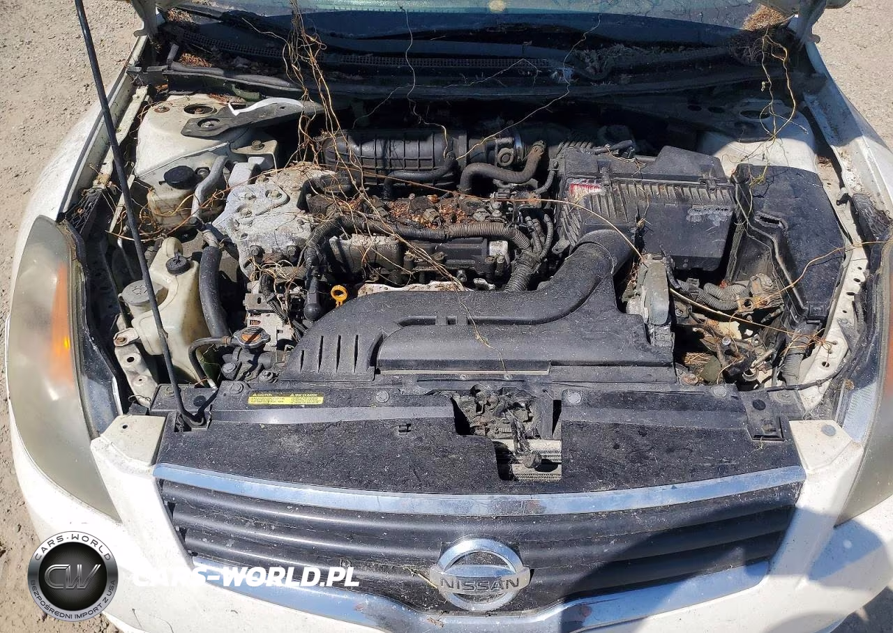2009 Nissan Altima 2.5 VIN:1N4AL21E59N441419 - 11