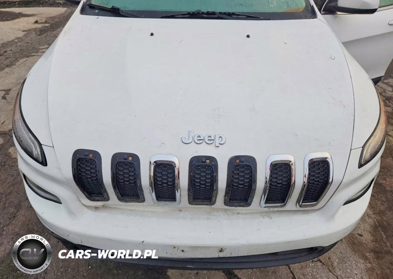 2014 Jeep Cherokee Latitude VIN:1C4PJMCB7EW165953 - 12