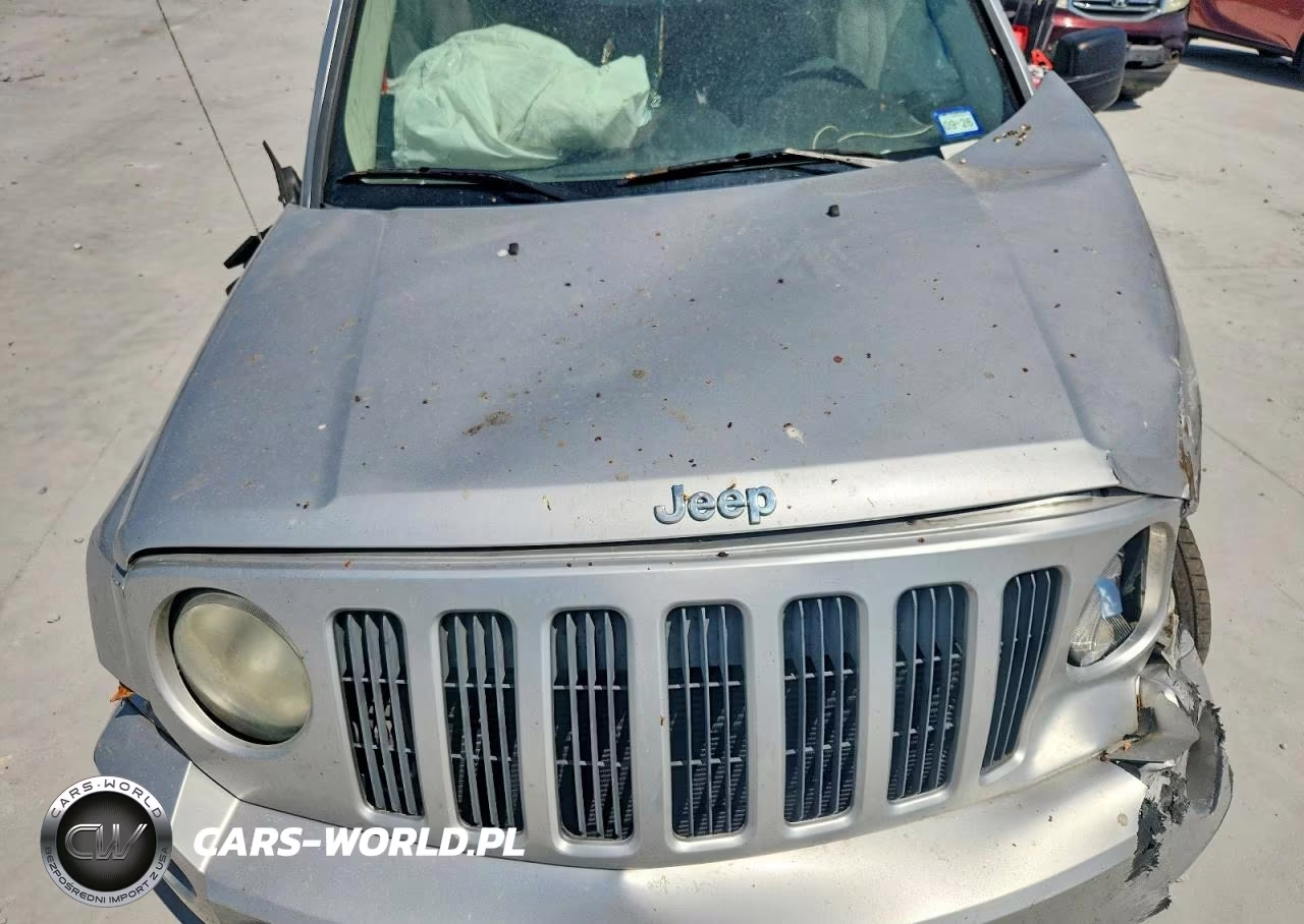 2009 Jeep Patriot Sport VIN:1J8FT28B69D159591 - 12