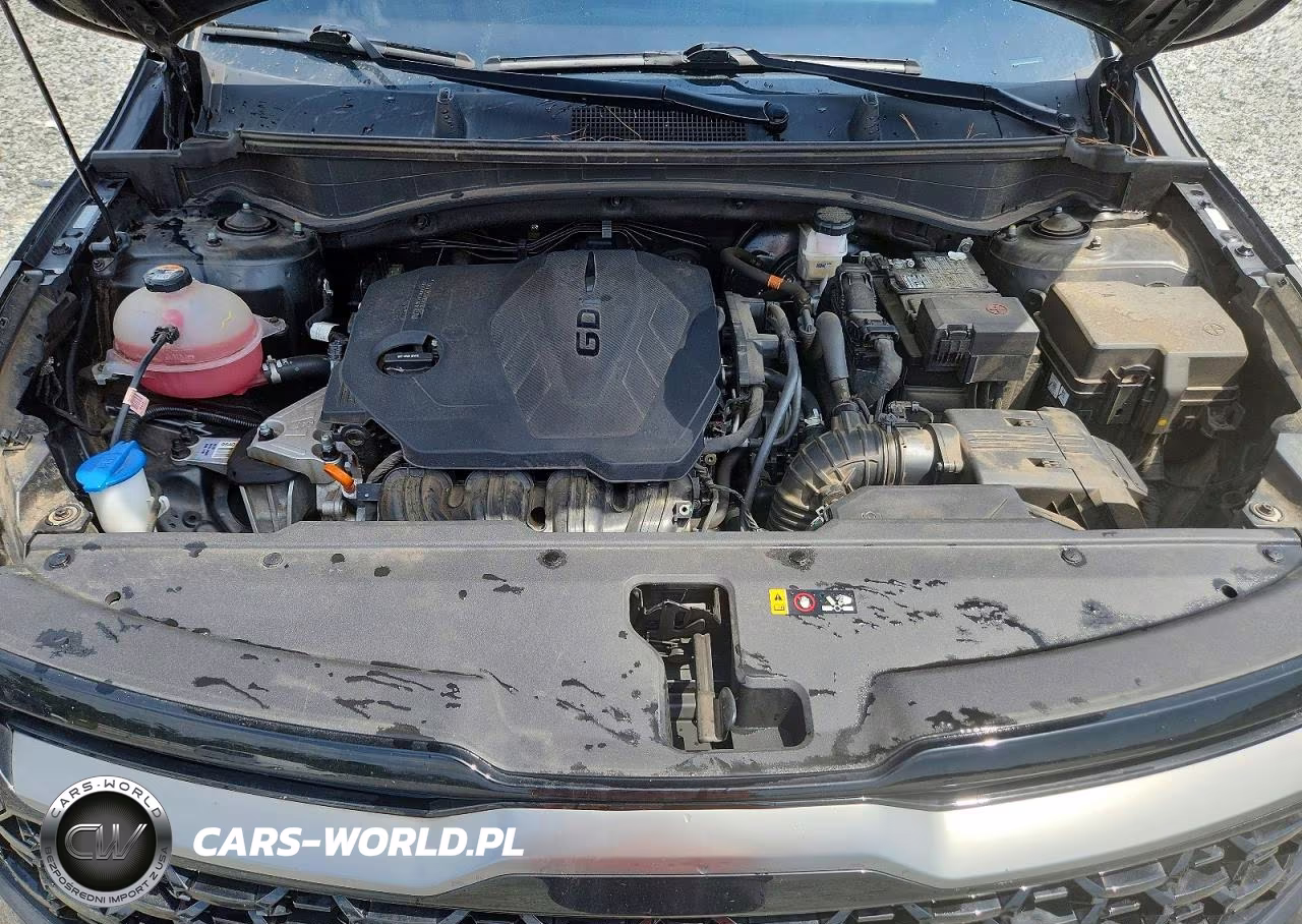 2023 Kia Sportage X-Pro VIN:5XYK7CAF8PG094013 - 12