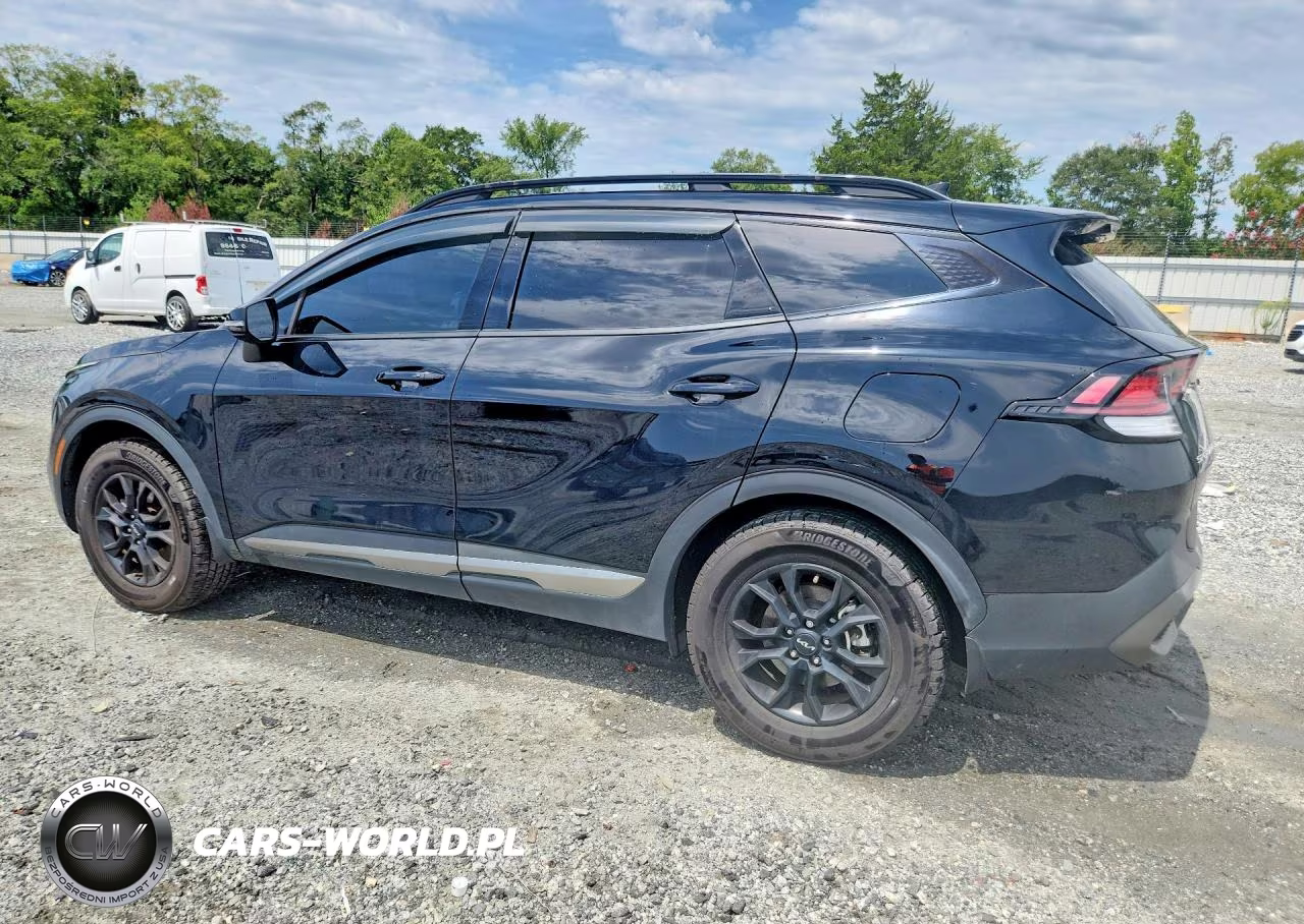 2023 Kia Sportage X-Pro VIN:5XYK7CAF8PG094013 - 2