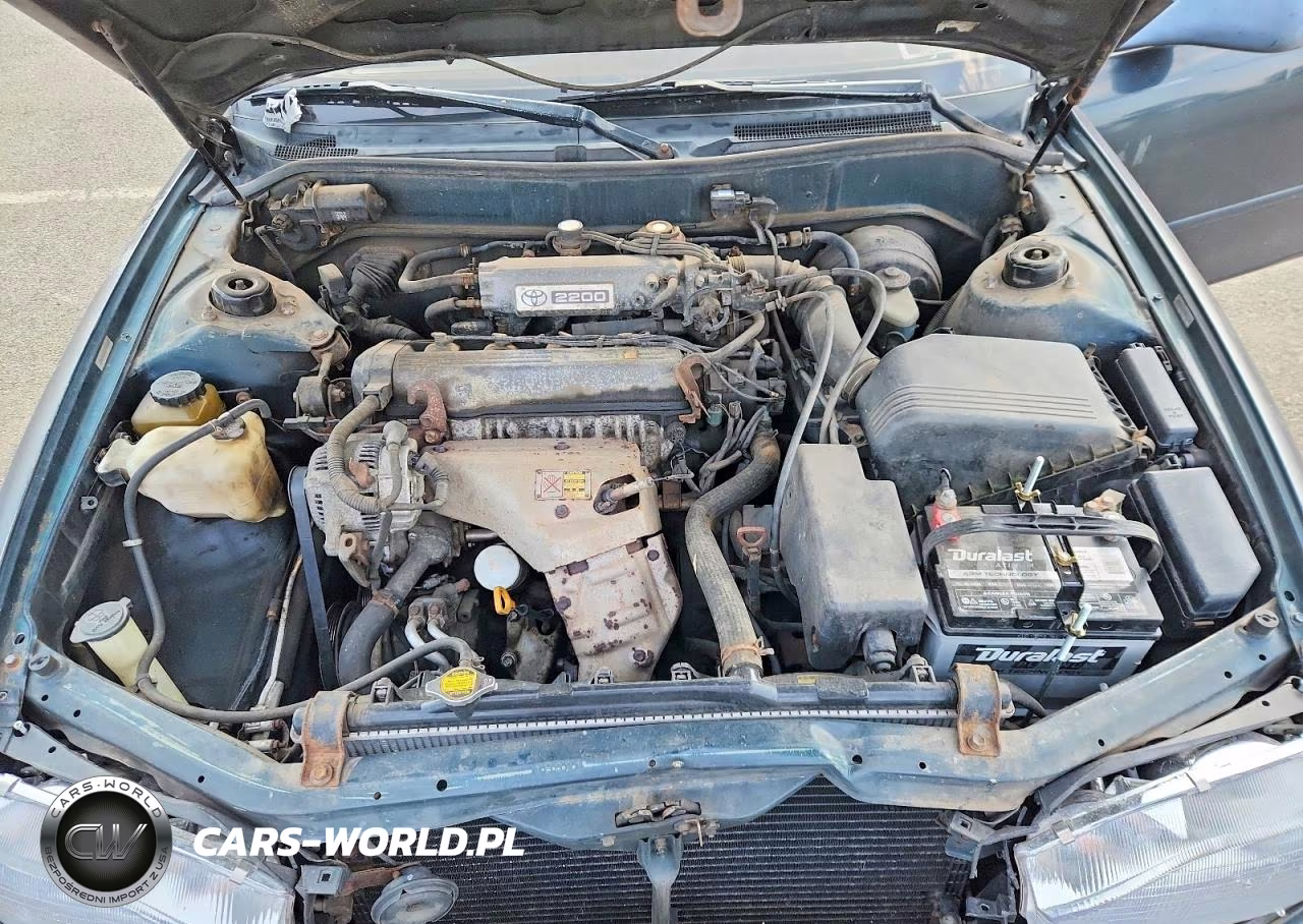 1994 Toyota Camry Le VIN:4T1SK12E5RU445837 - 11
