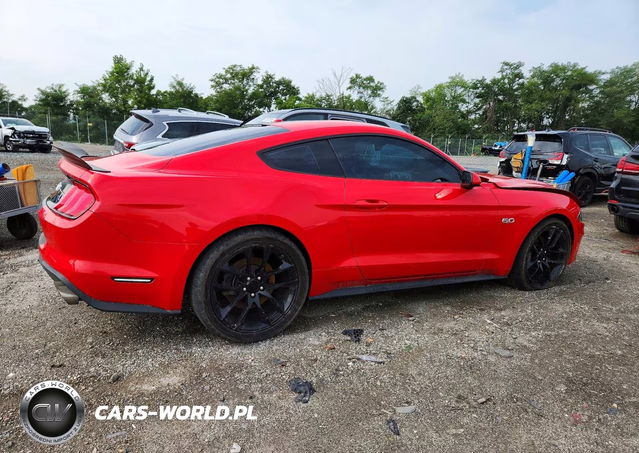2019 Ford Mustang Gt VIN:1FA6P8CF9K5146588 - 3