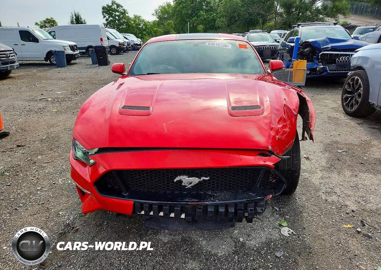 2019 Ford Mustang Gt VIN:1FA6P8CF9K5146588 - 5