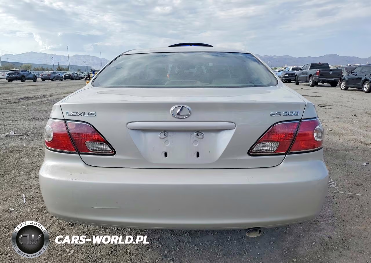 2003 Lexus Es 300 VIN:JTHBF30G536019830 - 6