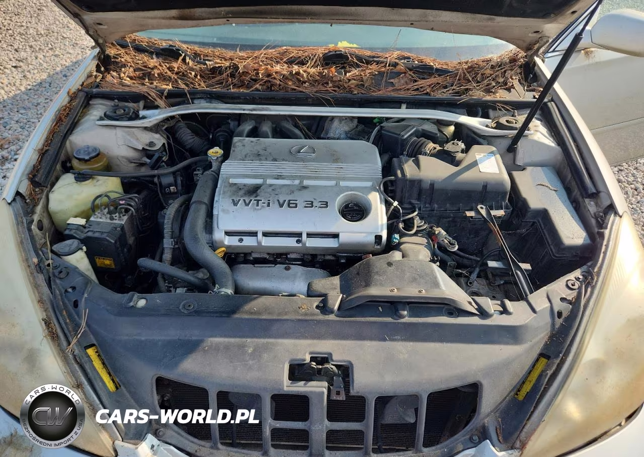 2004 Lexus Es 330 VIN:JTHBA30G940015041 - 11