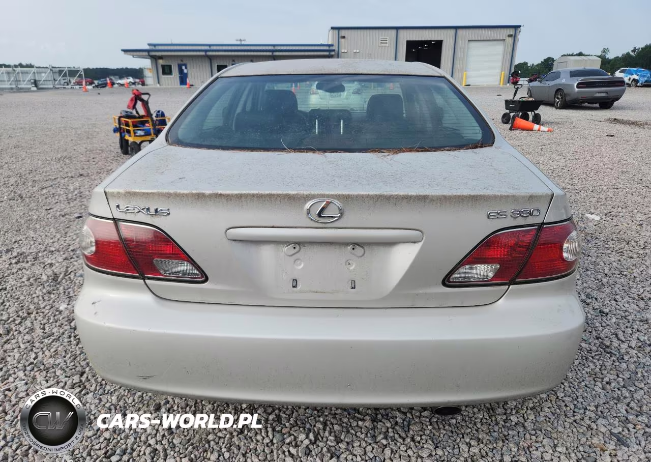 2004 Lexus Es 330 VIN:JTHBA30G940015041 - 6