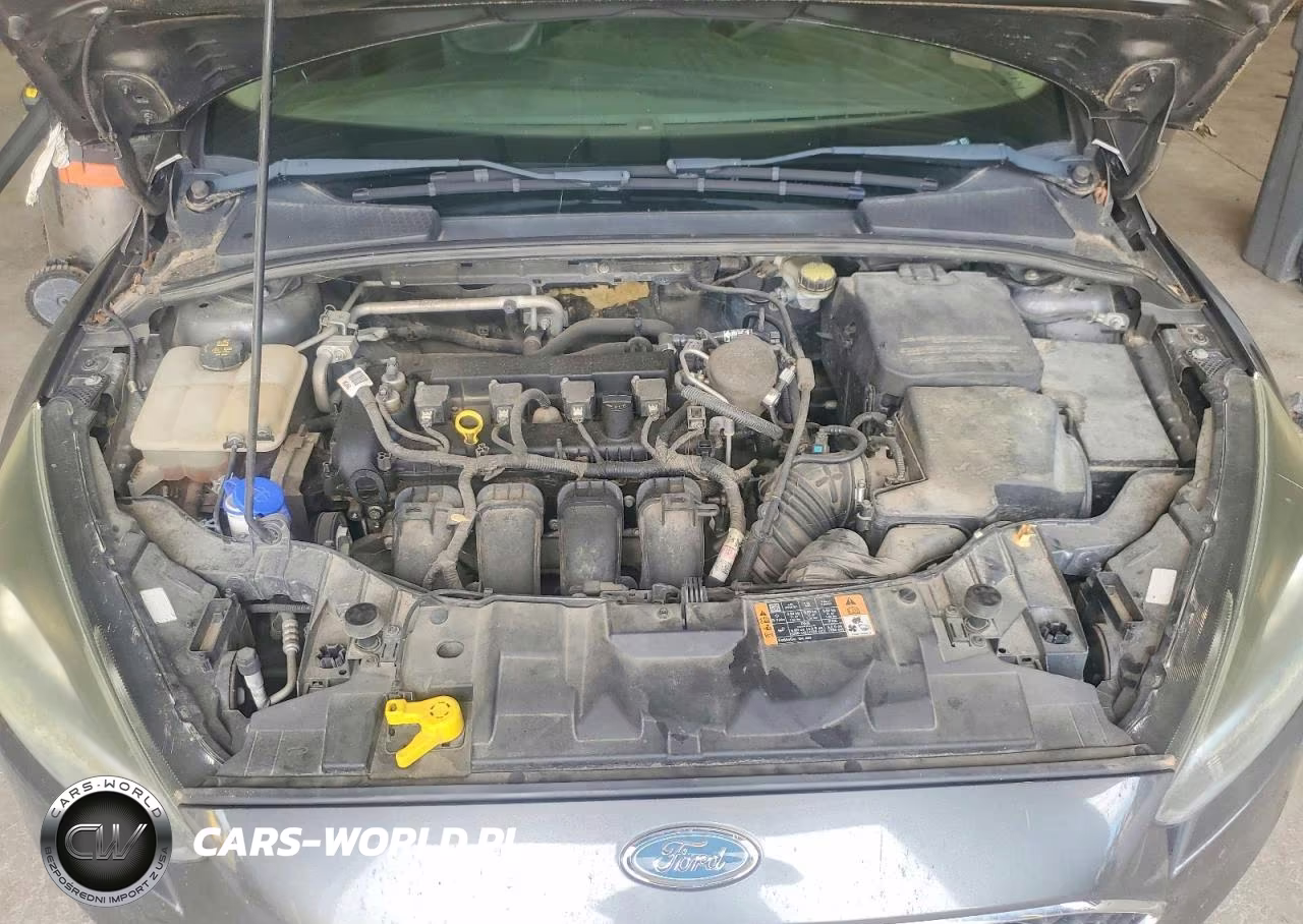 2015 Ford Focus Se VIN:1FADP3F26FL275084 - 11