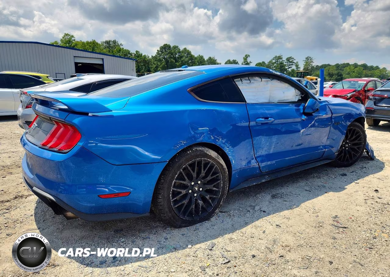 2019 Ford Mustang Gt VIN:1FA6P8CF2K5103517 - 3