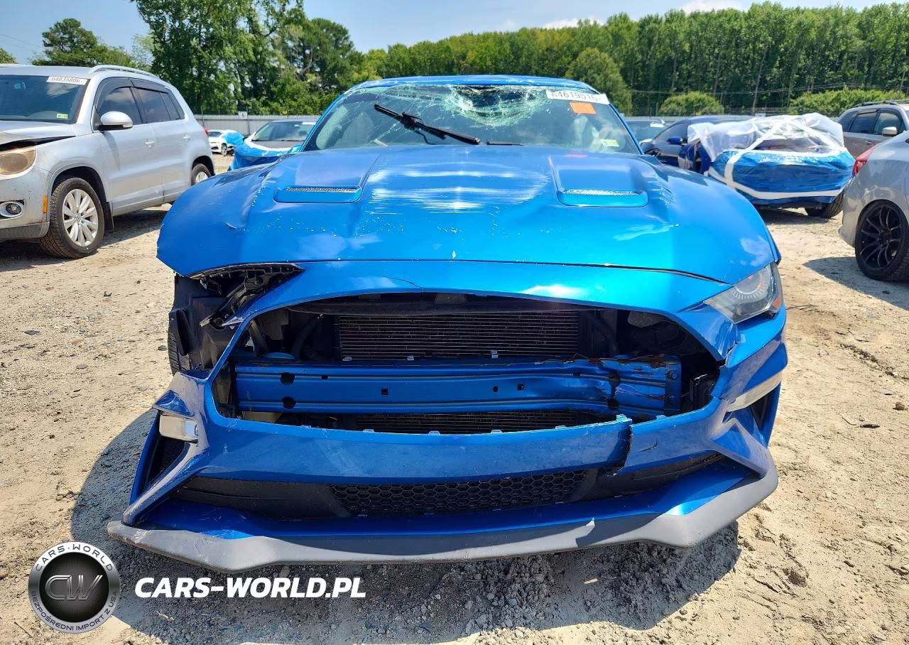 2019 Ford Mustang Gt VIN:1FA6P8CF2K5103517 - 5