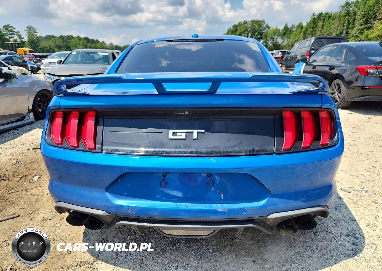 2019 Ford Mustang Gt VIN:1FA6P8CF2K5103517 - 6