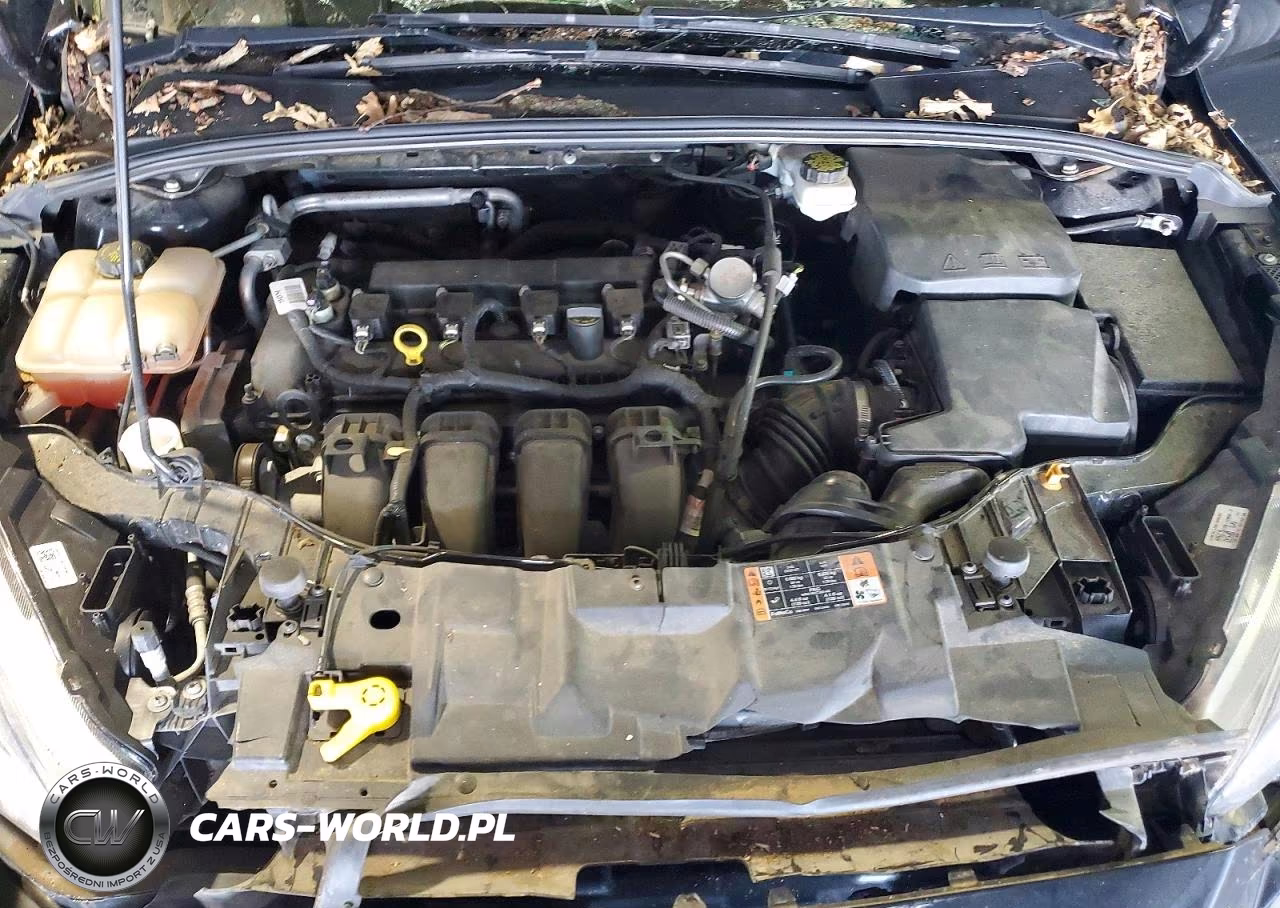 2017 Ford Focus Se VIN:1FADP3F21HL348039 - 11