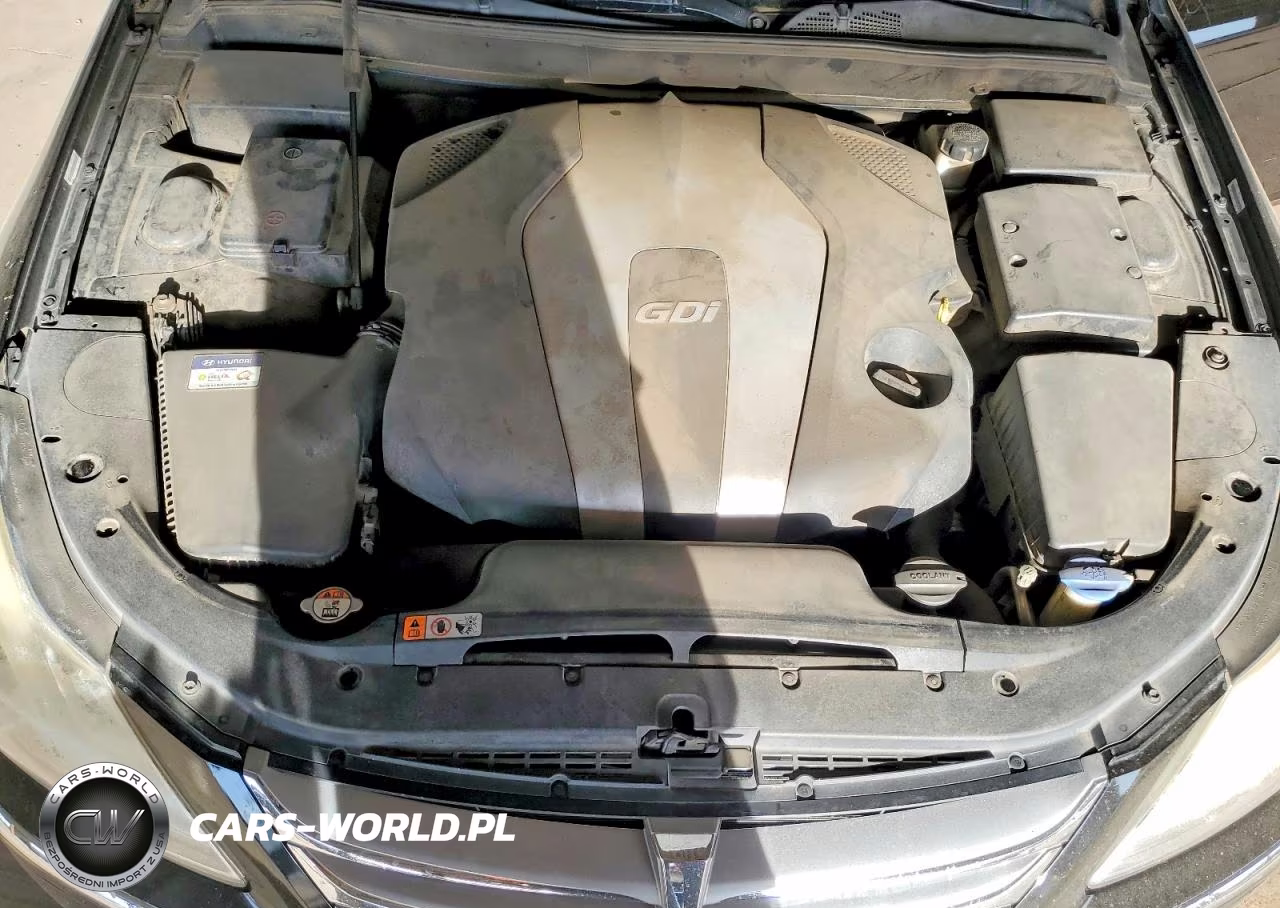 2013 Hyundai Genesis 3.8L VIN:KMHGC4DD4DU240219 - 11