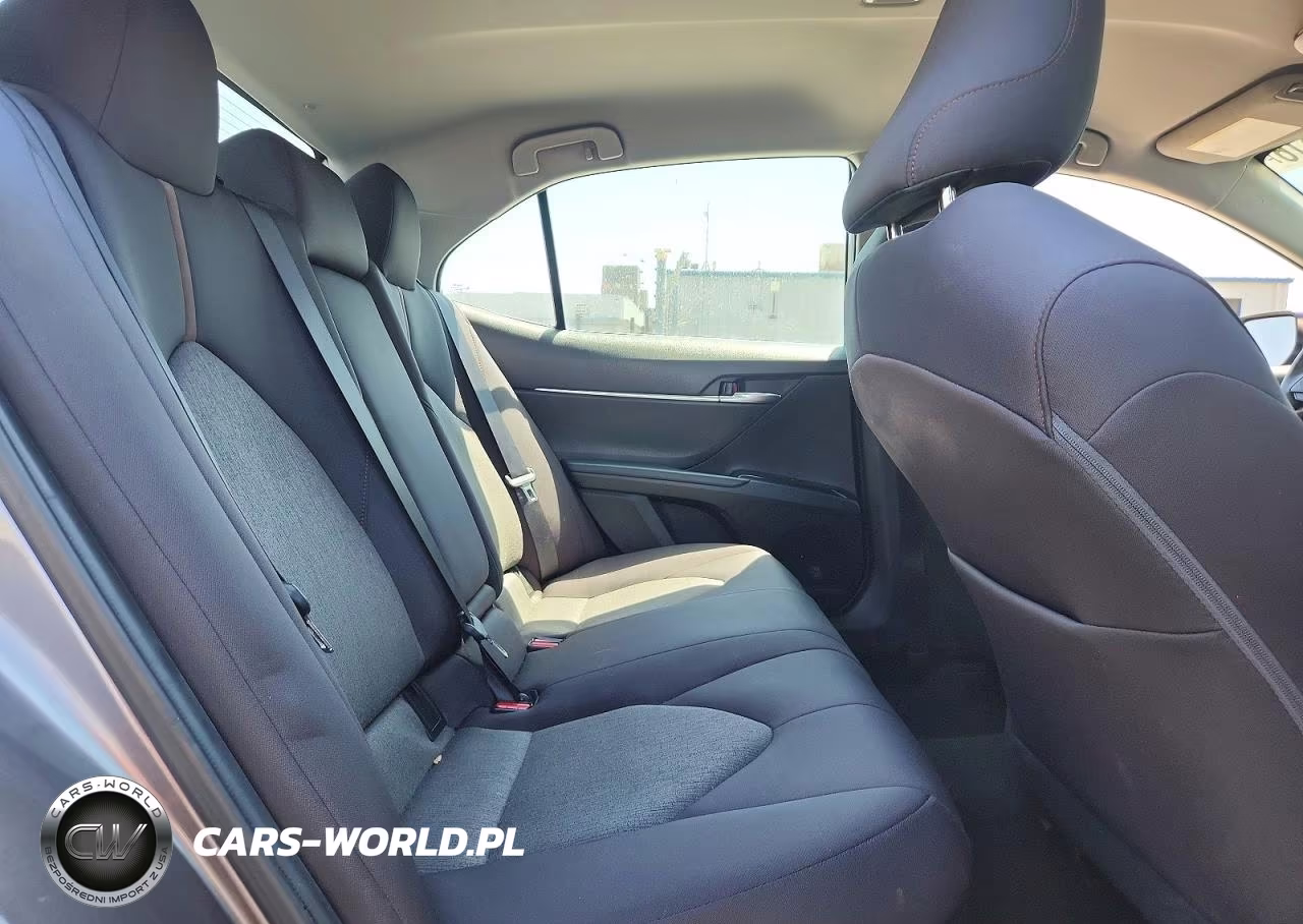 2020 Toyota Camry Le VIN:4T1C31AK7LU545454 - 10