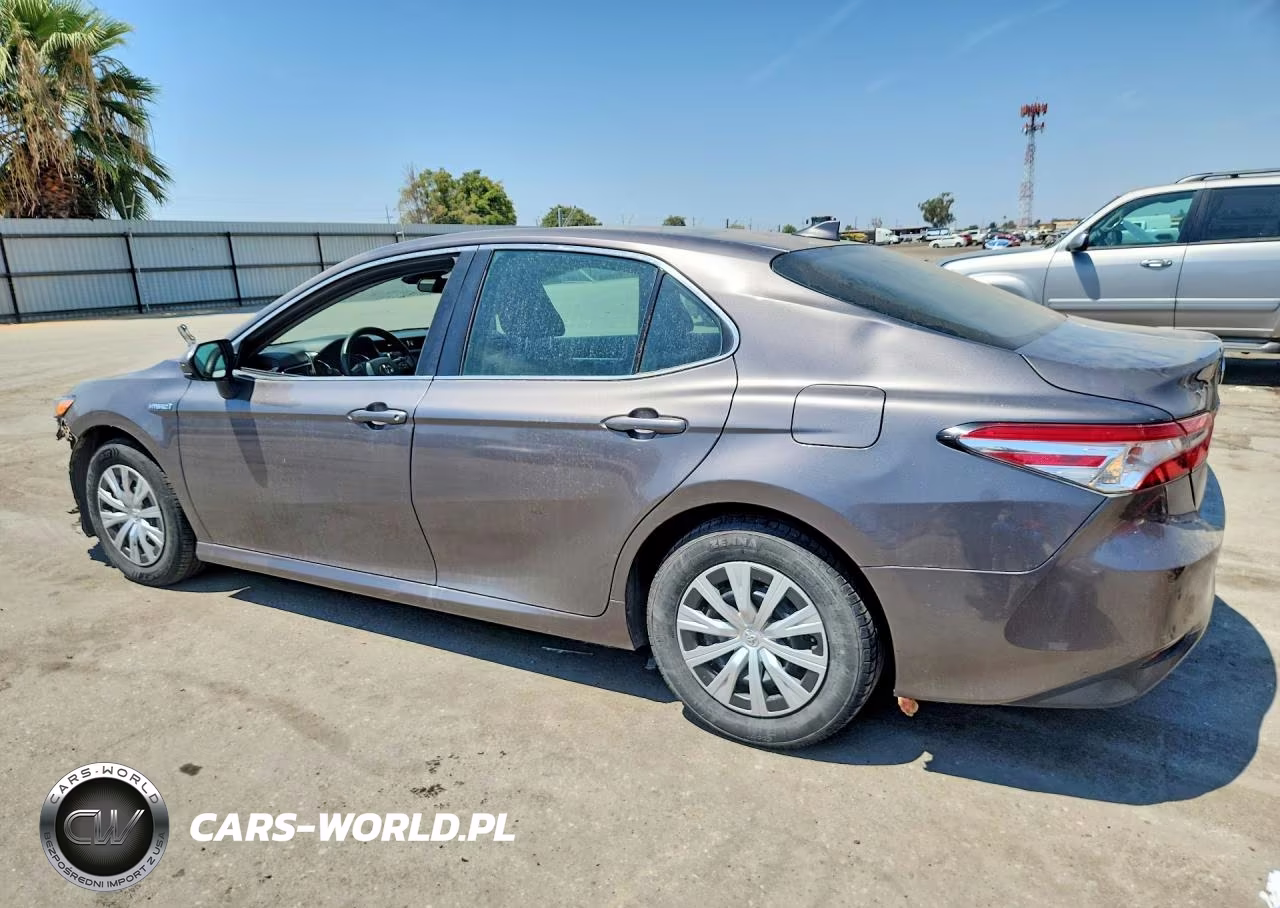 2020 Toyota Camry Le VIN:4T1C31AK7LU545454 - 2