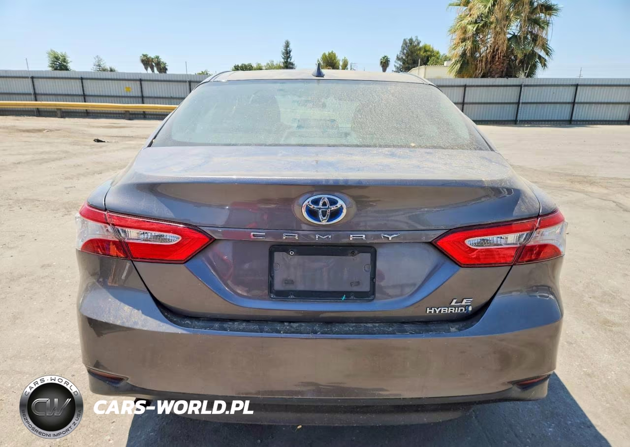 2020 Toyota Camry Le VIN:4T1C31AK7LU545454 - 6