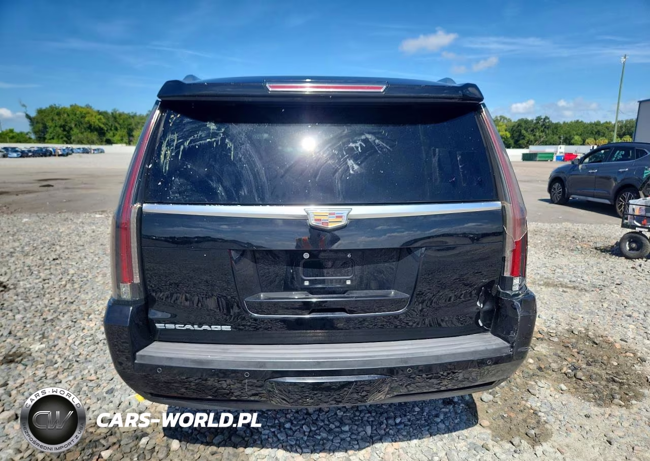 2016 Cadillac Escalade Esv Premium VIN:1GYS3JKJ6GR370722 - 6