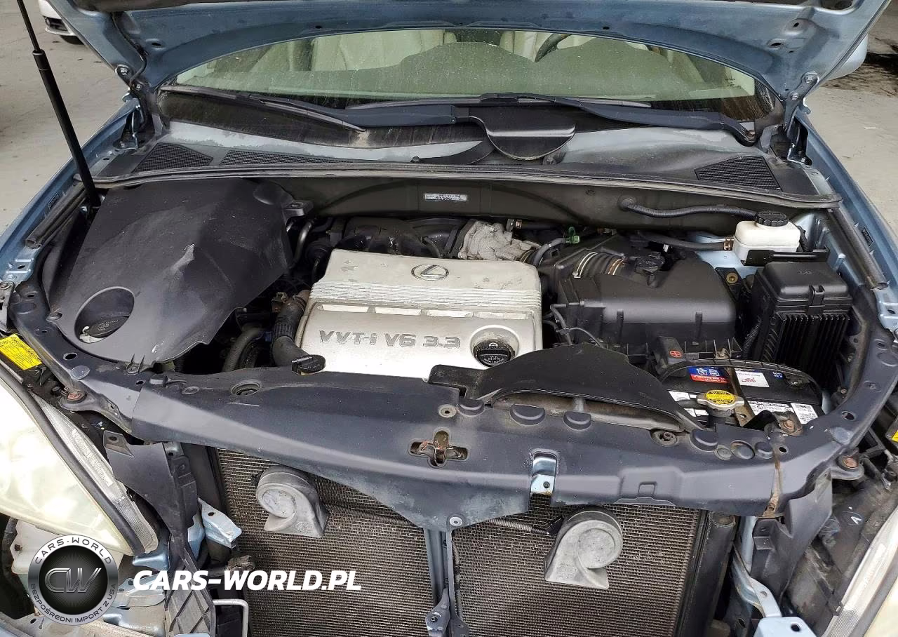 2005 Lexus Rx 330 VIN:2T2GA31U45C028987 - 12