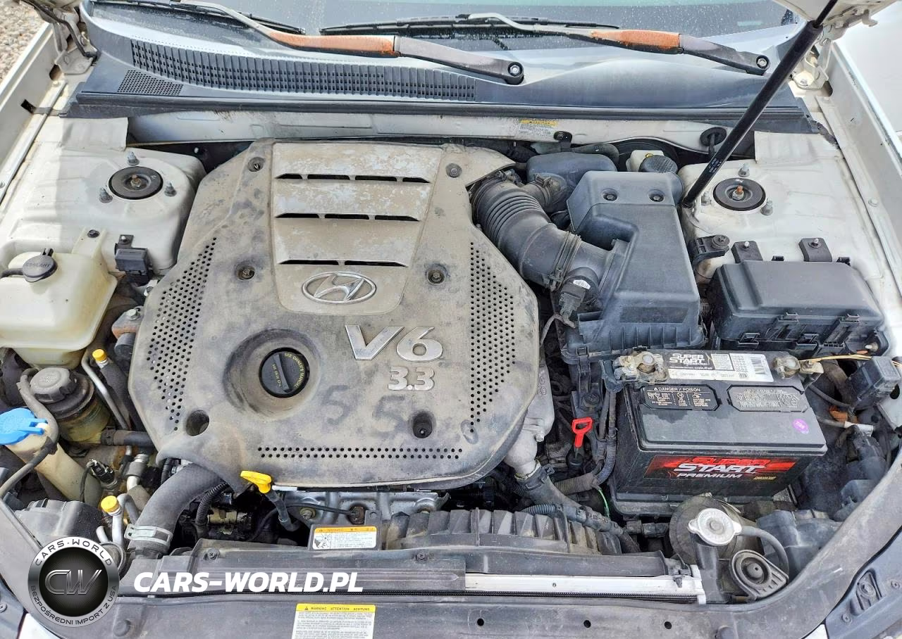 2007 Hyundai Sonata Se VIN:5NPEU46F17H161354 - 11