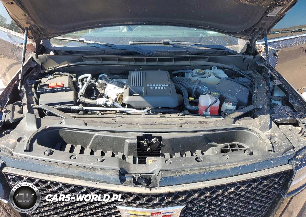 2022 CADILLAC ESCALADE ESV LUXURY VIN:1GYS4JKTXNR228742 - 12