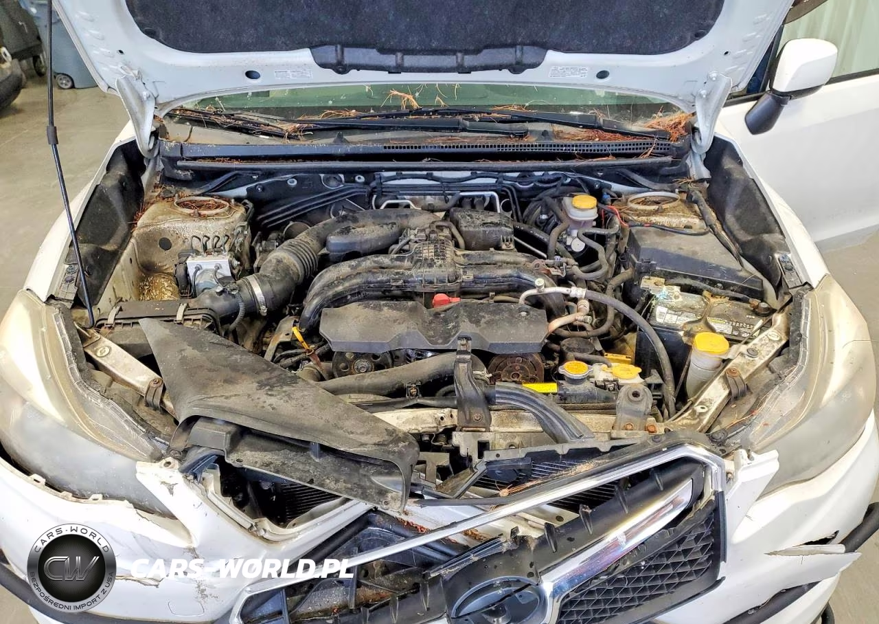 2014 Subaru Xv Crosstrek 2.0 Limited VIN:JF2GPAGC3E8344013 - 11