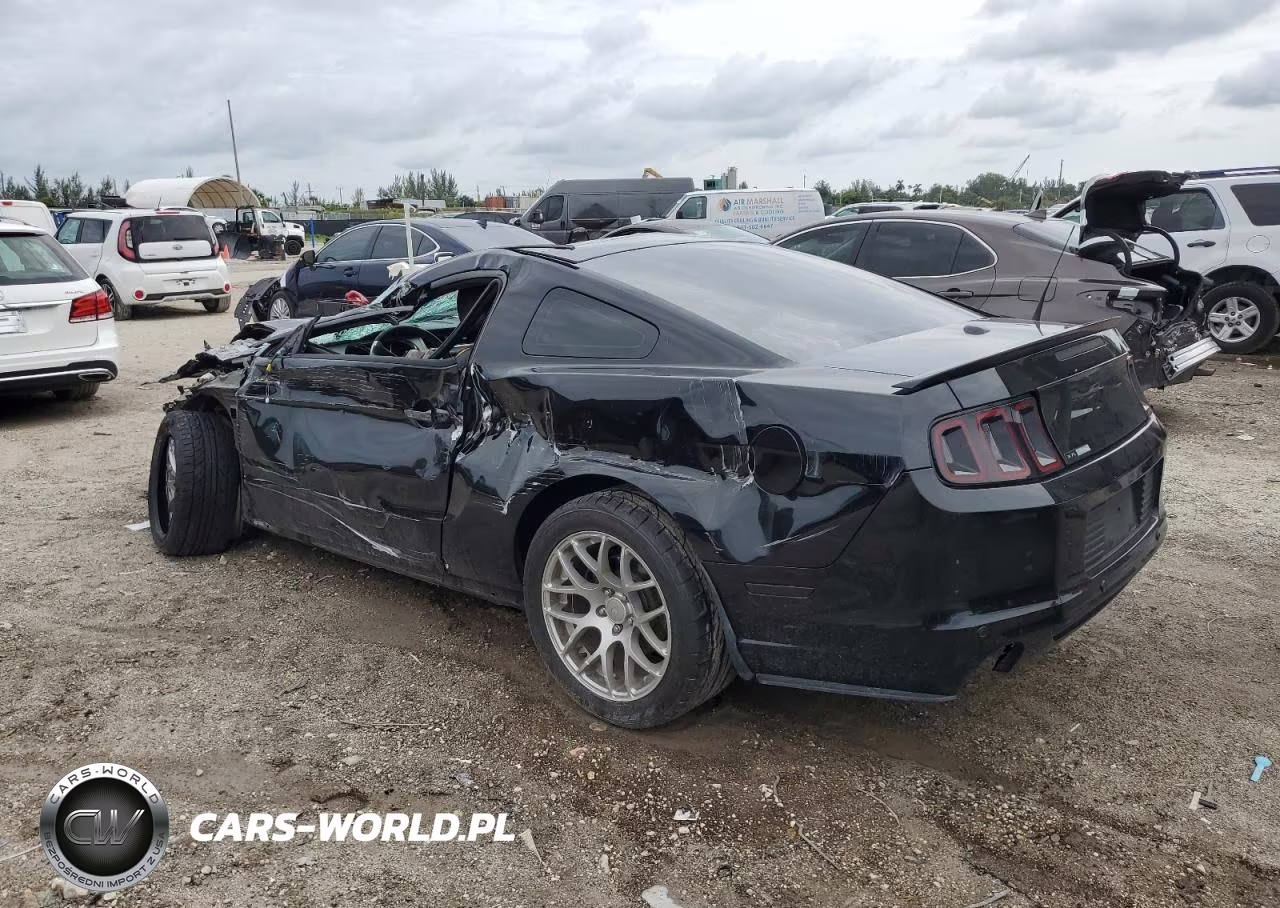 2014 Ford Mustang VIN:1ZVBP8AM3E5313622 - 2
