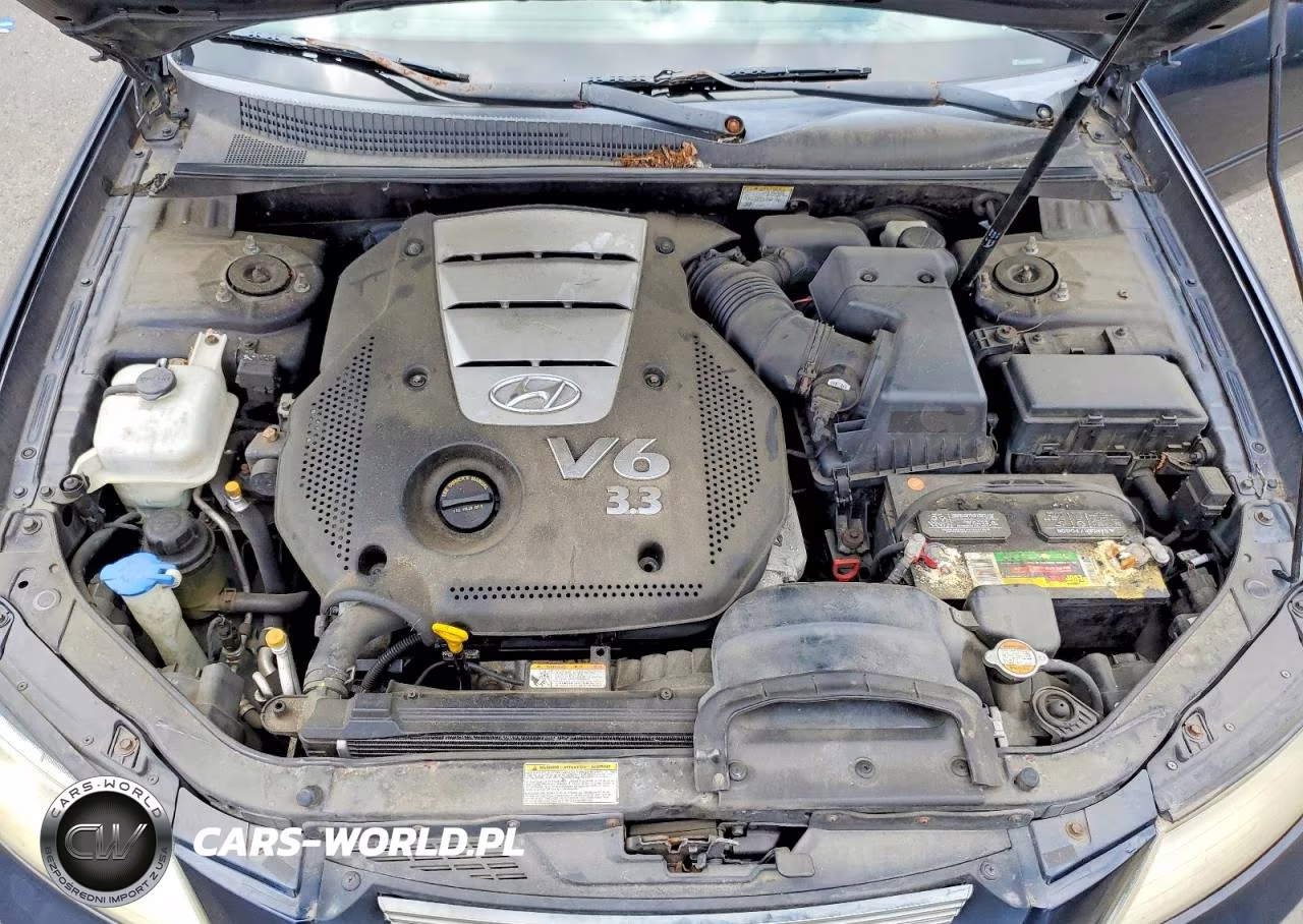 2006 Hyundai Sonata VIN:5NPEU46F06H036912 - 11