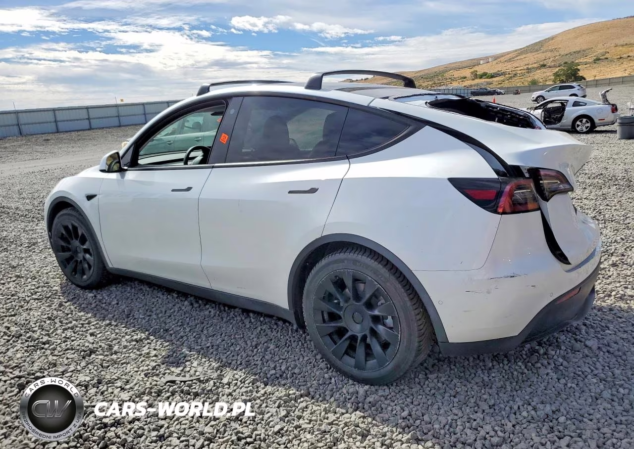 2022 Tesla Model Y VIN:7SAYGAEE8NF524419 - 2