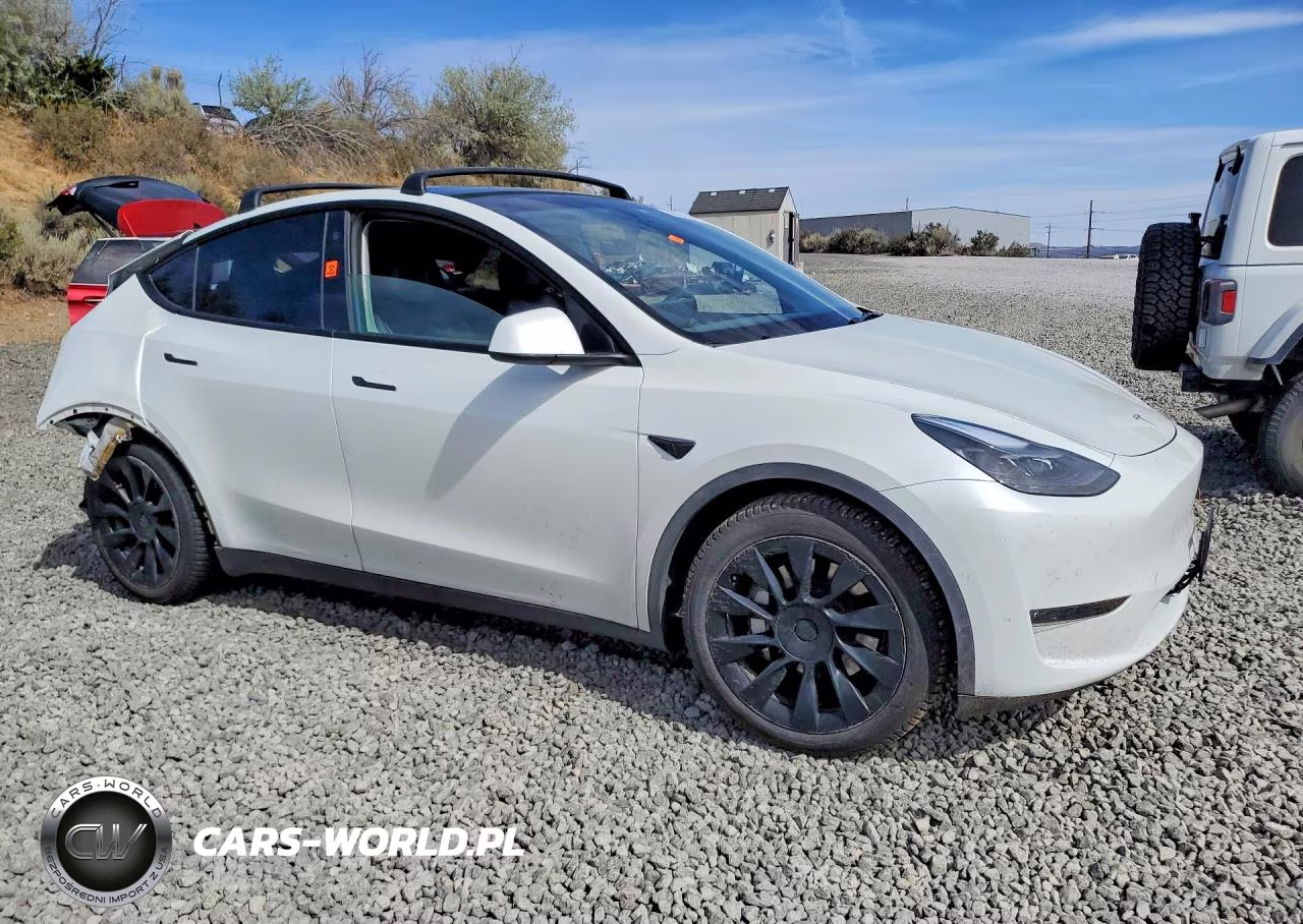 2022 Tesla Model Y VIN:7SAYGAEE8NF524419 - 4