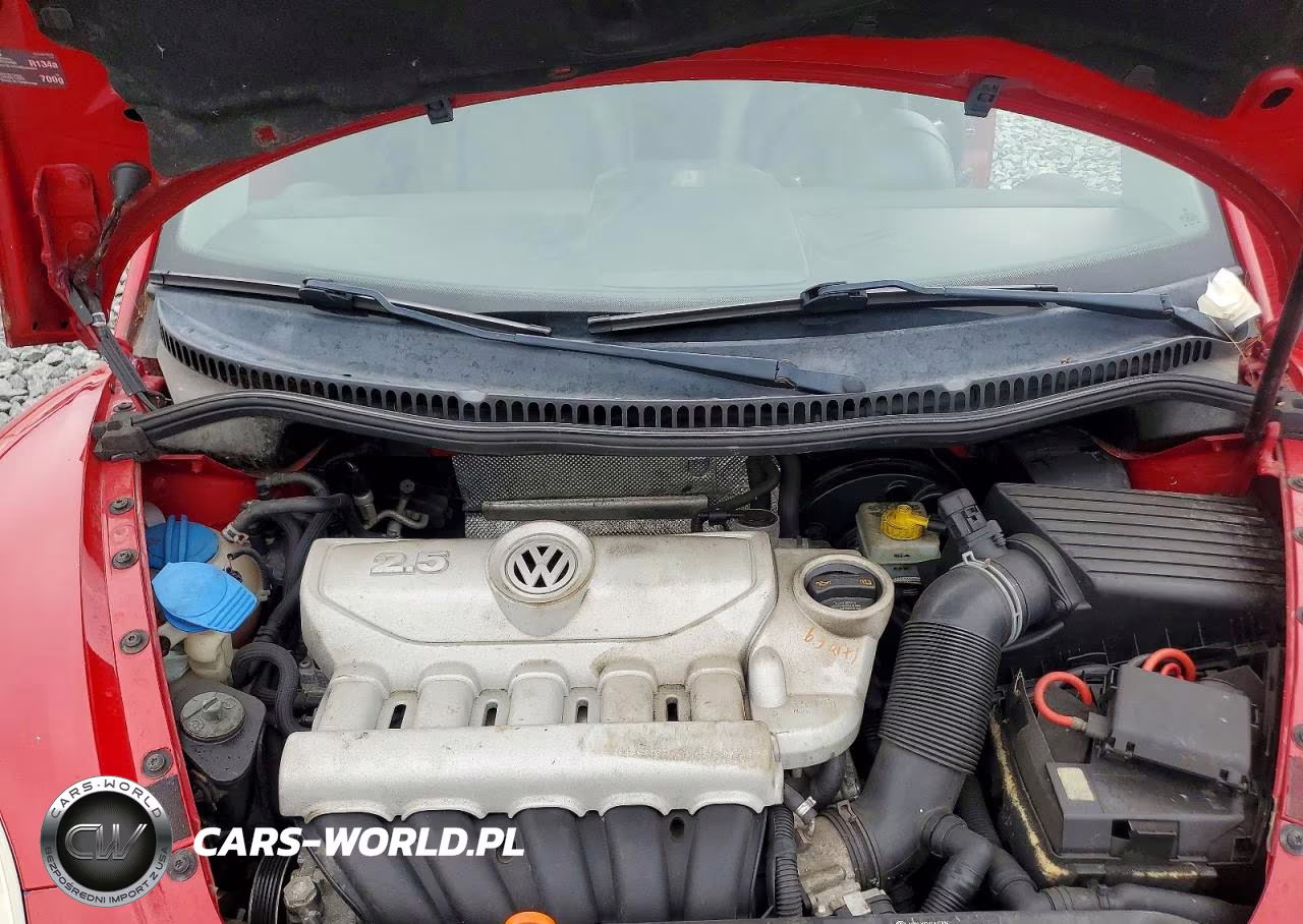 2008 Volkswagen New Beetle S VIN:3VWPW31CX8M525273 - 11