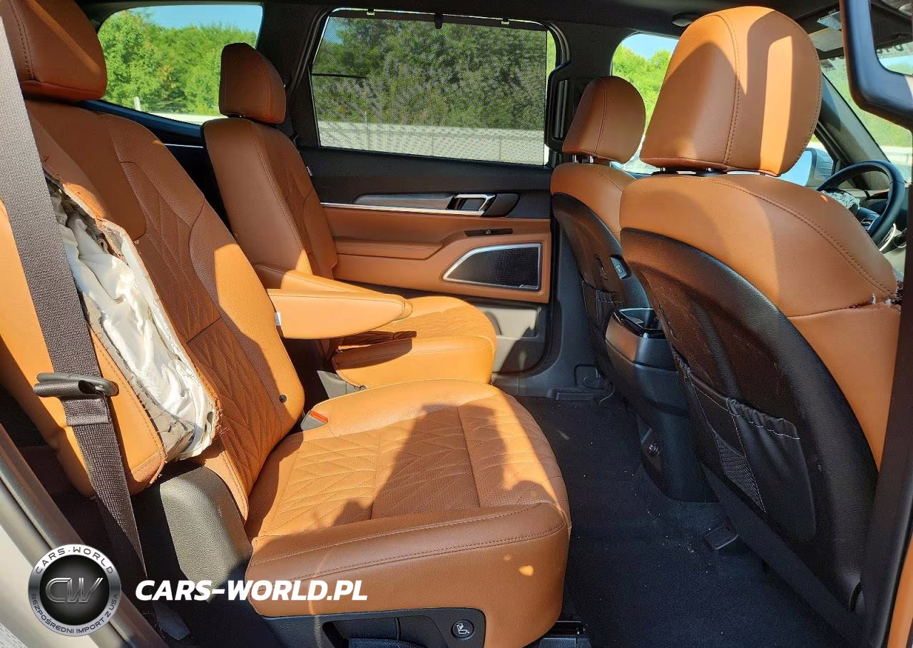 2025 Kia Telluride Ex X-Line VIN:5XYP3DGC5SG690323 - 11