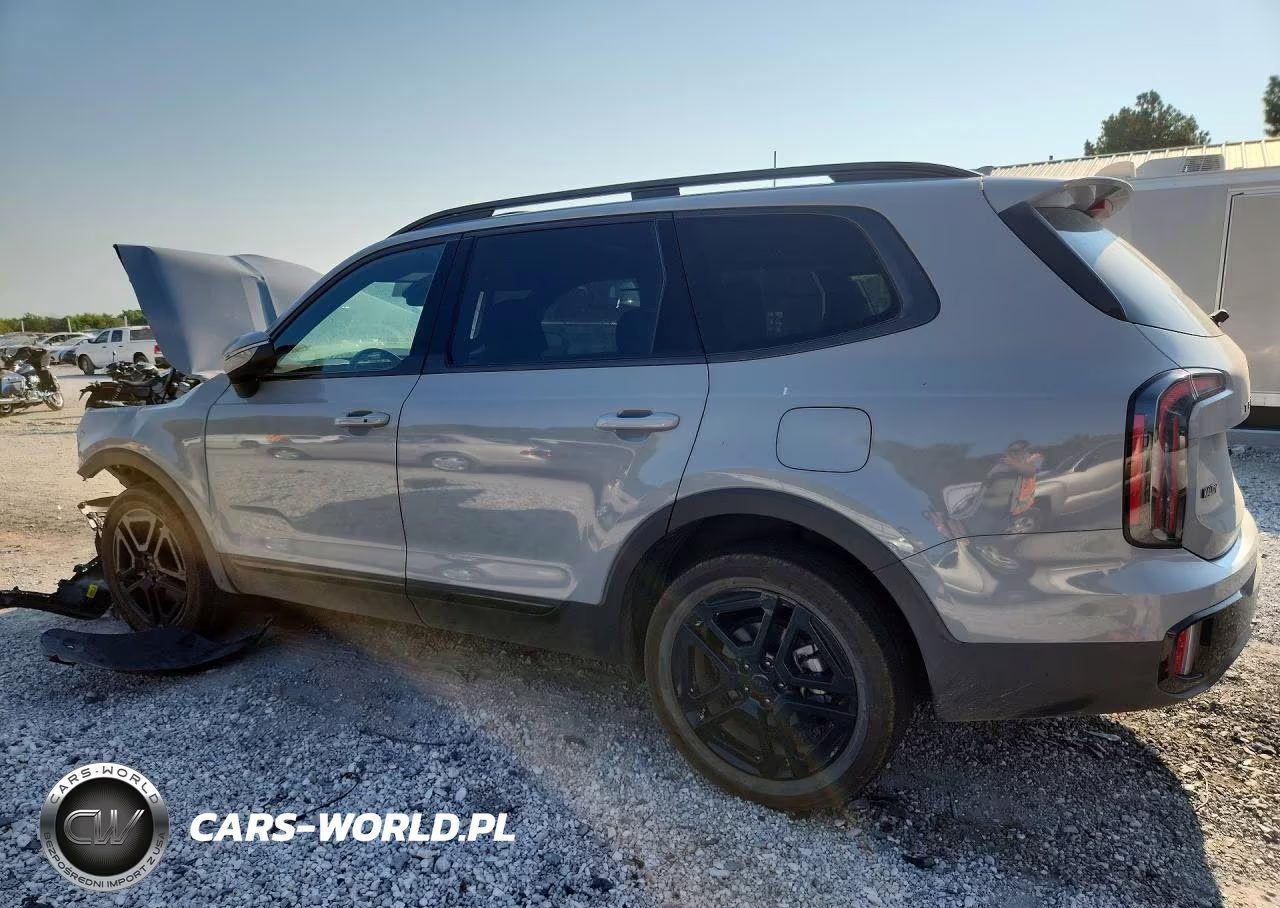 2025 Kia Telluride Ex X-Line VIN:5XYP3DGC5SG690323 - 2