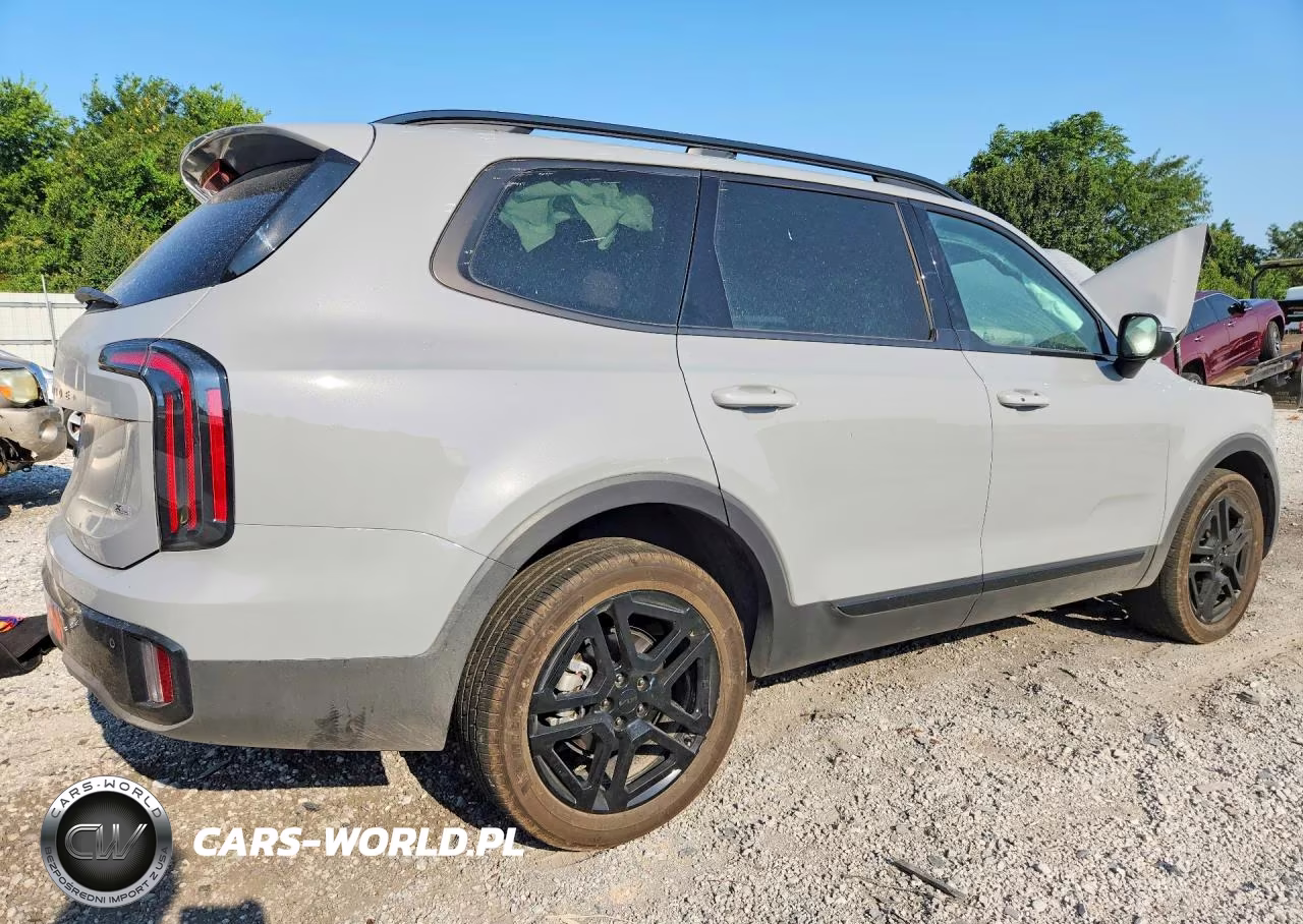 2025 Kia Telluride Ex X-Line VIN:5XYP3DGC5SG690323 - 3
