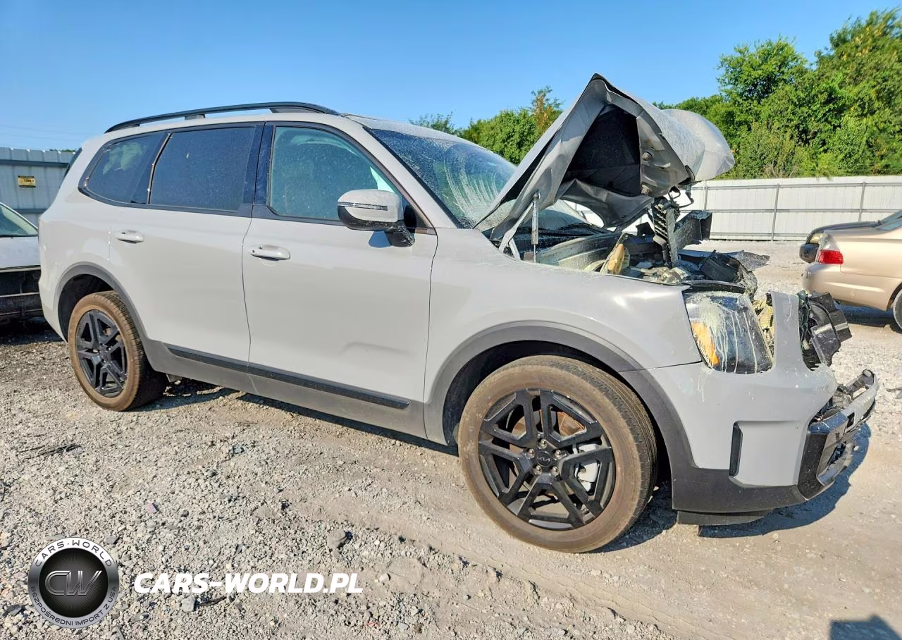 2025 Kia Telluride Ex X-Line VIN:5XYP3DGC5SG690323 - 4