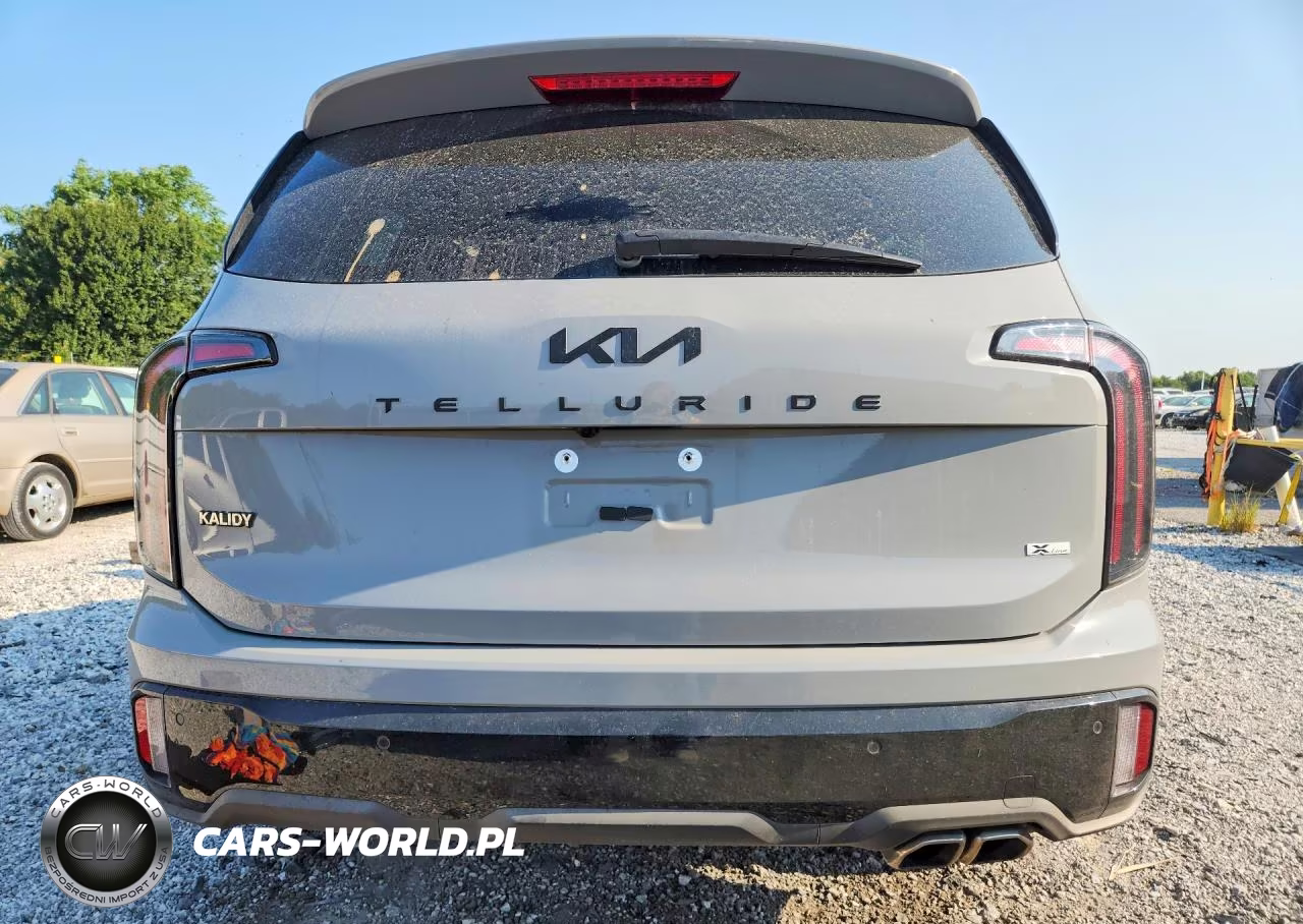 2025 Kia Telluride Ex X-Line VIN:5XYP3DGC5SG690323 - 6