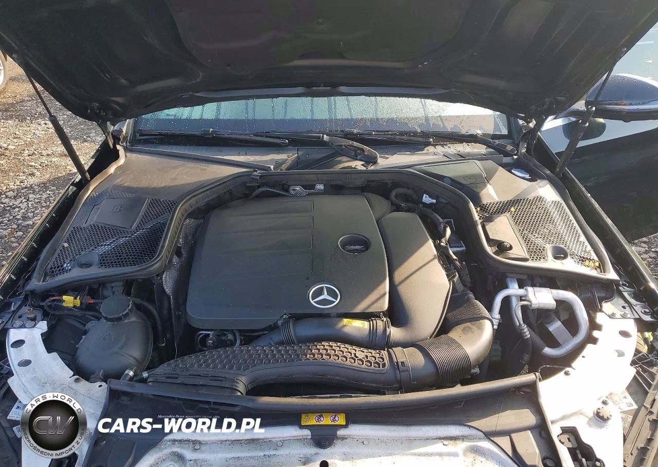 2019 Mercedes-Benz C 300 4Matic VIN:55SWF8EBXKU312606 - 11