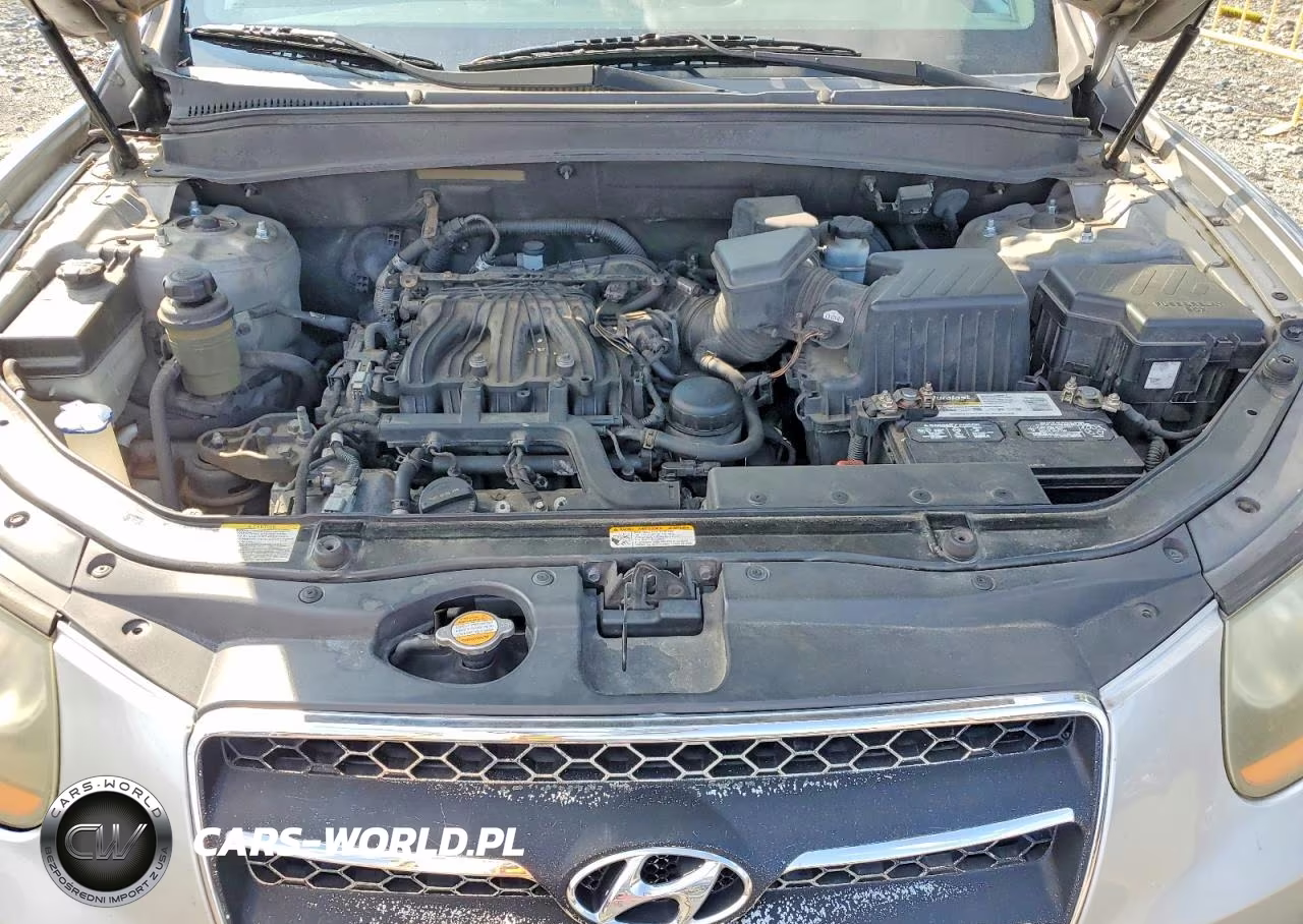 2009 Hyundai Santa Fe Se VIN:5NMSH13E69H298193 - 12